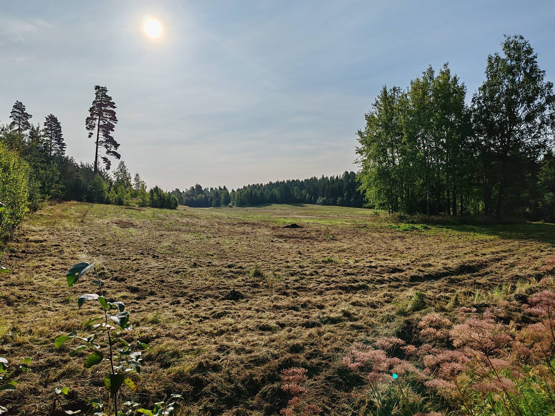 Määräala metsää ja peltoa tilasta Väinölä 1:119, Raasepori, Kelkkala 14