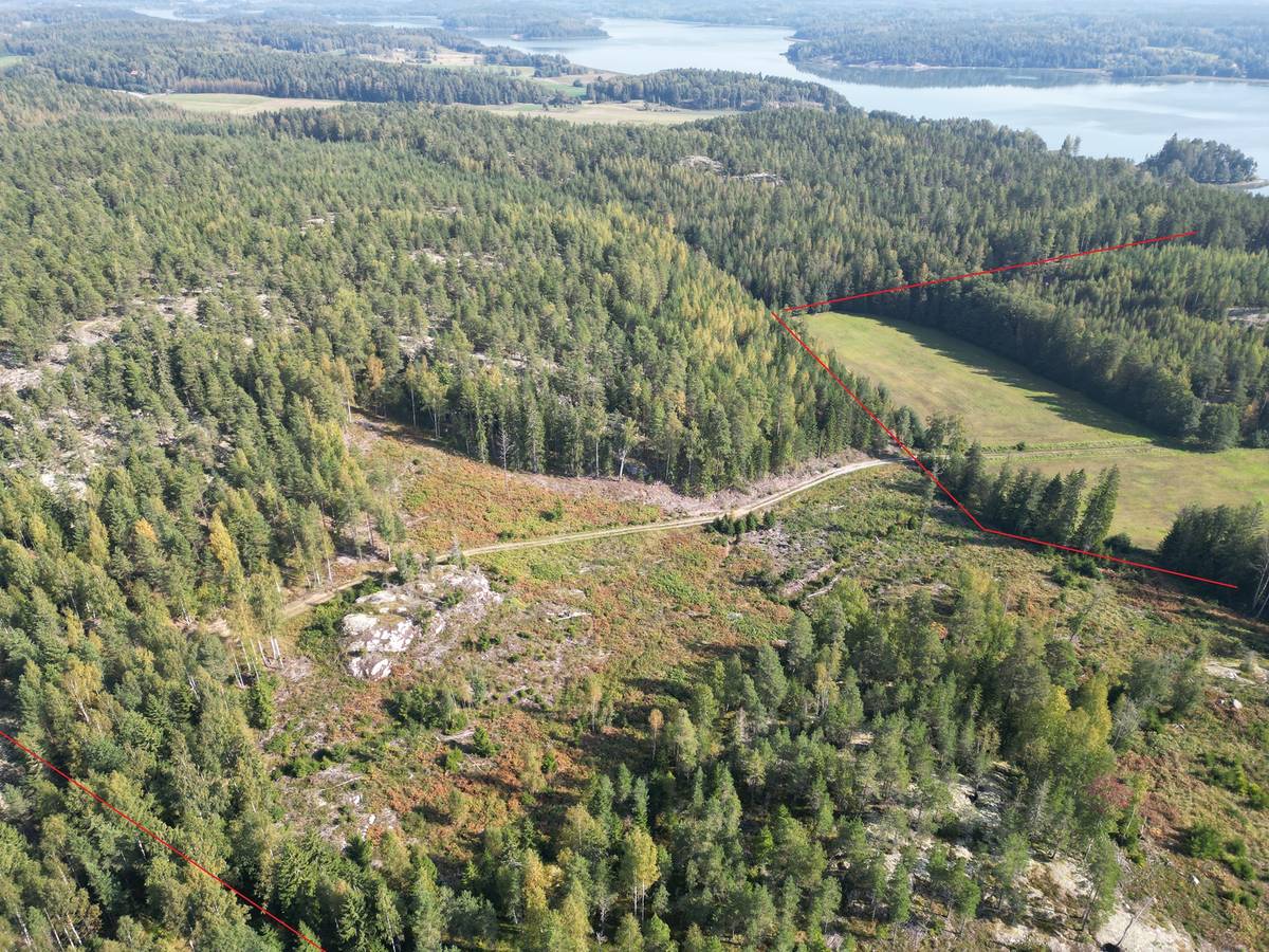 Omslagsbild för objektet Metsätila Bjökboda Skog 8:3, Salo, Paatelmaa