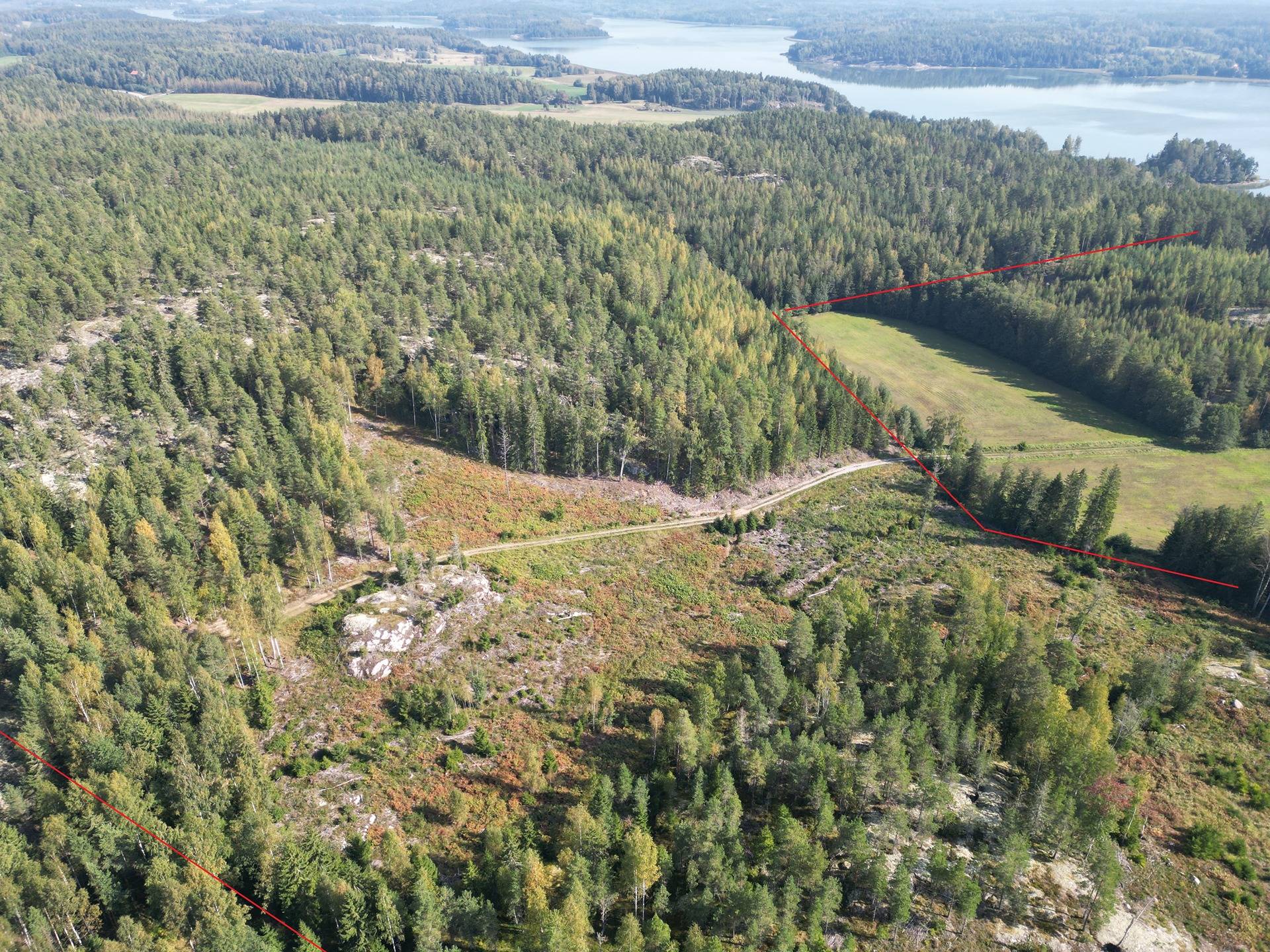 Cover photo for the object Metsätila Bjökboda Skog 8:3, Salo, Paatelmaa