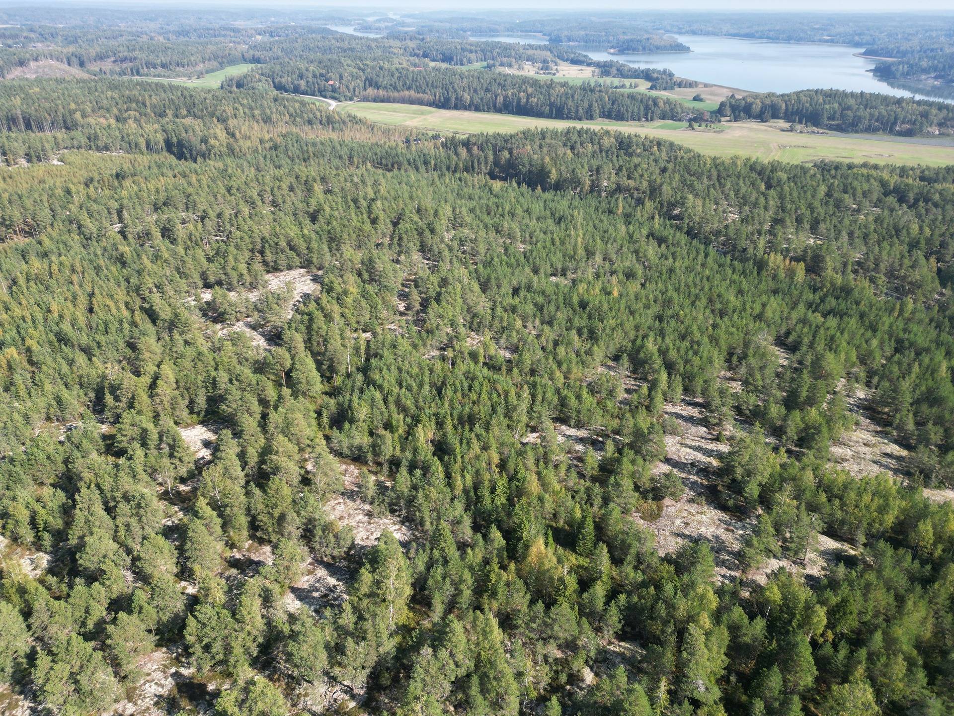 Metsätila Bjökboda Skog 8:3, Salo, Paatelmaa 3