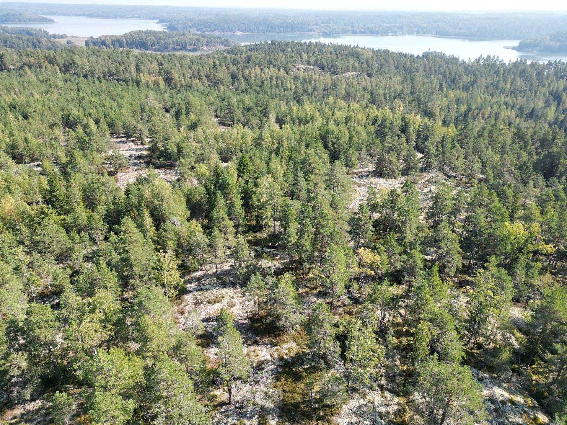 Metsätila Bjökboda Skog 8:3, Salo, Paatelmaa 4