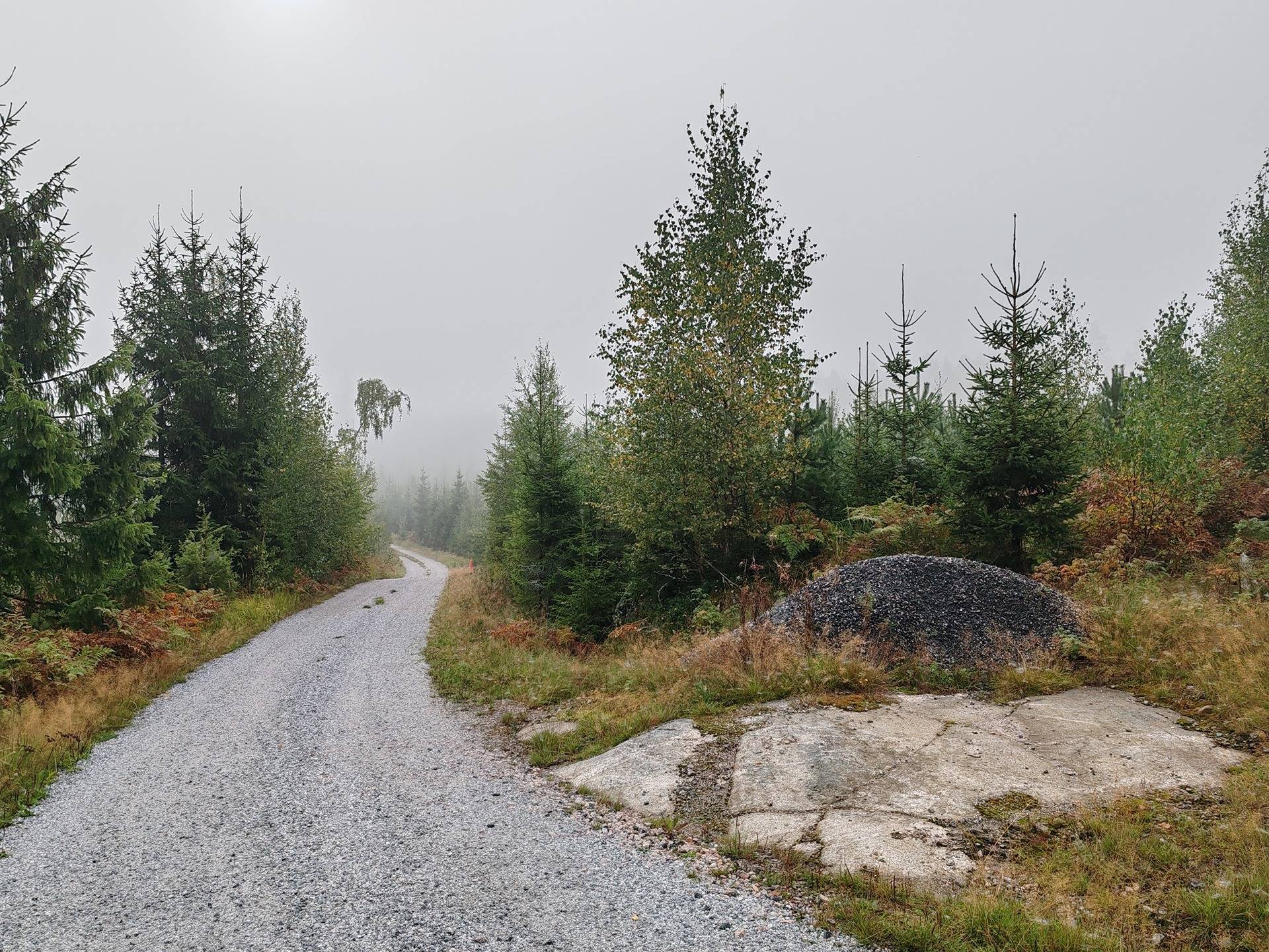 Metsätila Bjökboda Skog 8:3, Salo, Paatelmaa 11