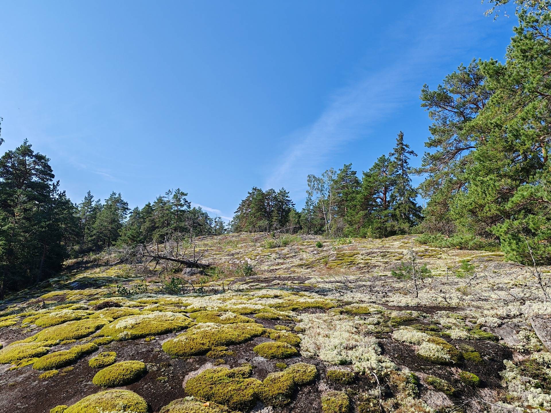 Metsätila Bjökboda Skog 8:3, Salo, Paatelmaa 22