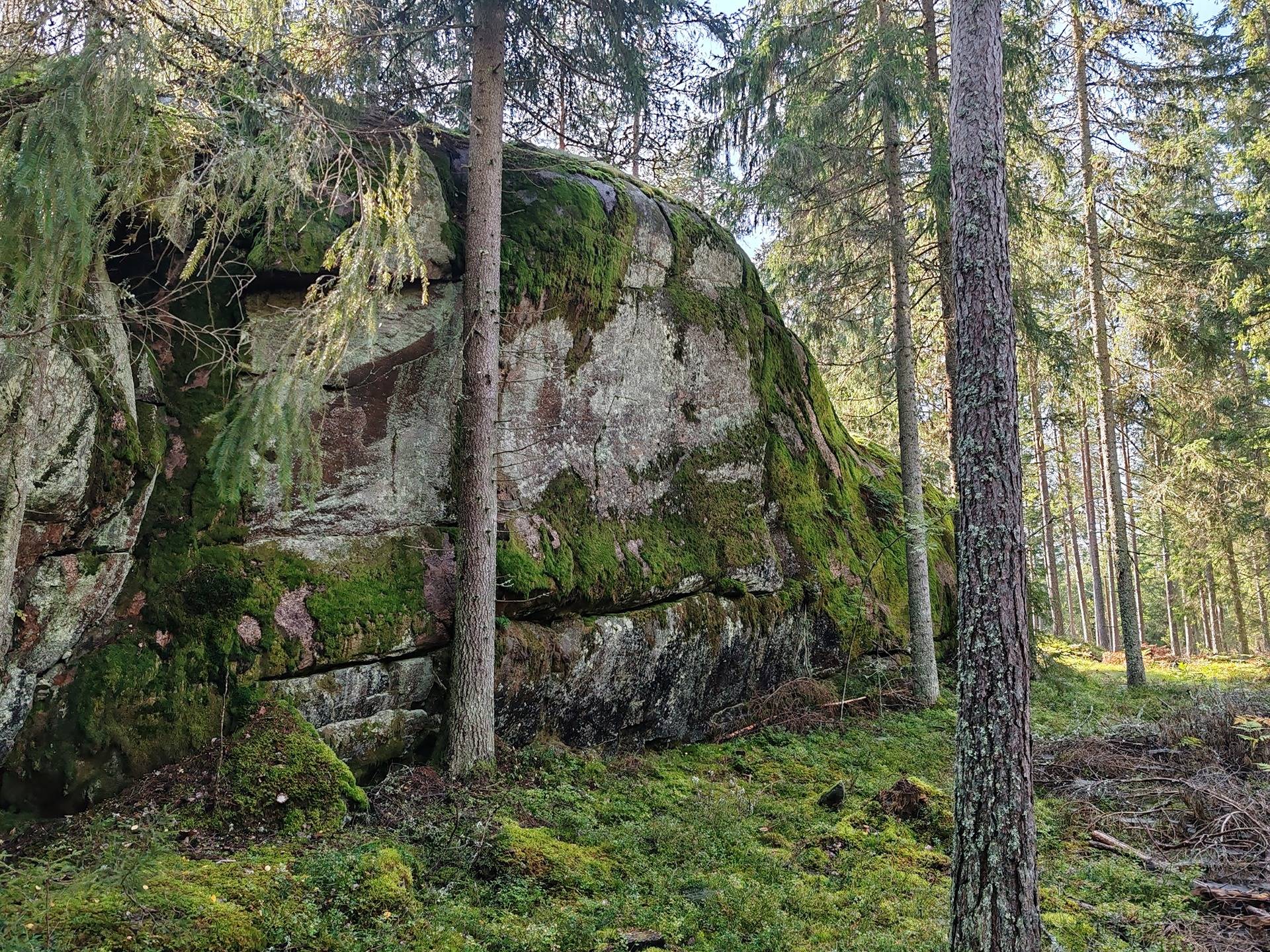 Metsätila Bjökboda Skog 8:3, Salo, Paatelmaa 24