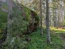 Metsätila Bjökboda Skog 8:3, Salo, Paatelmaa 26