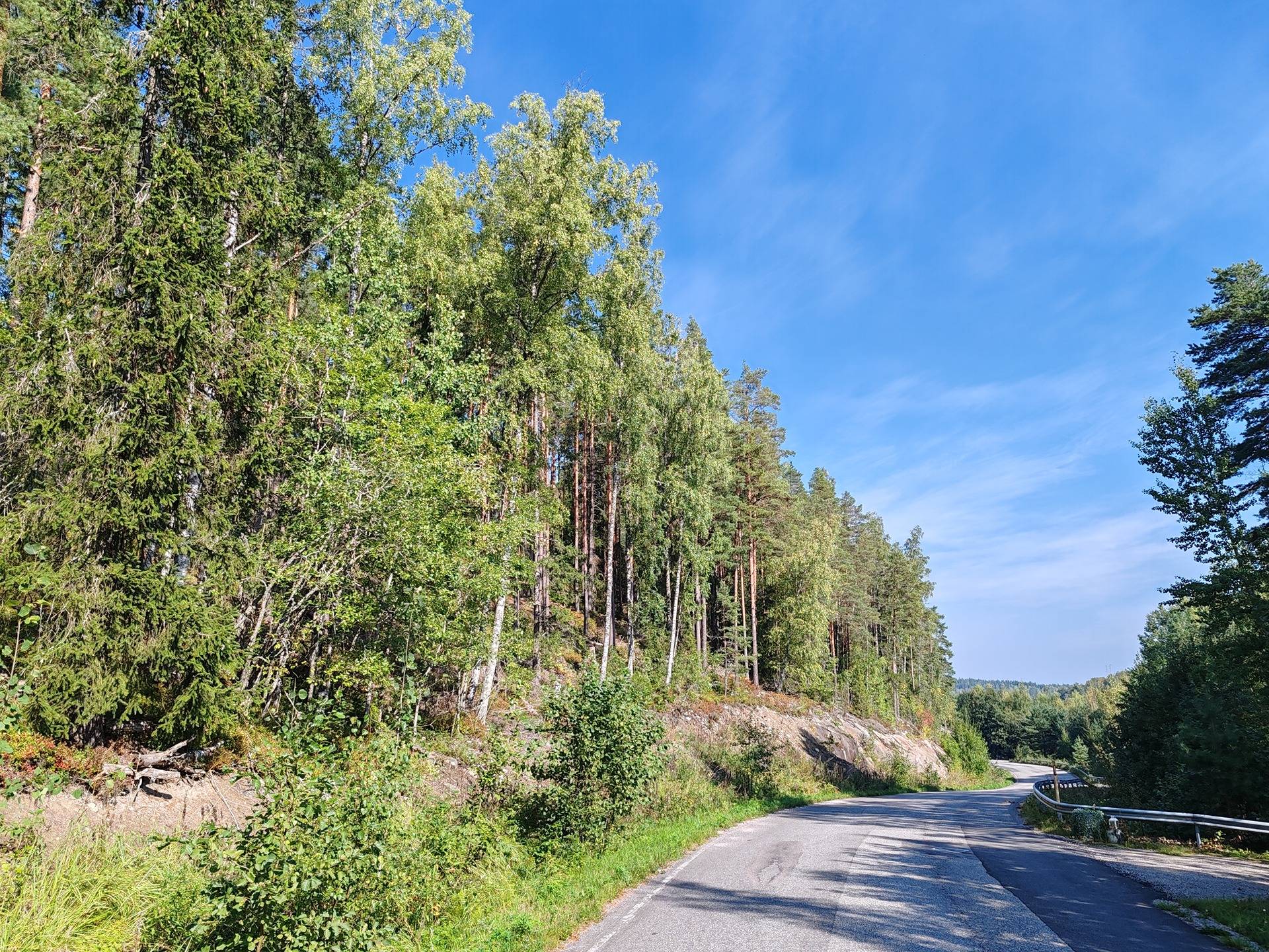 Metsätila Bjökboda Skog 8:3, Salo, Paatelmaa 28