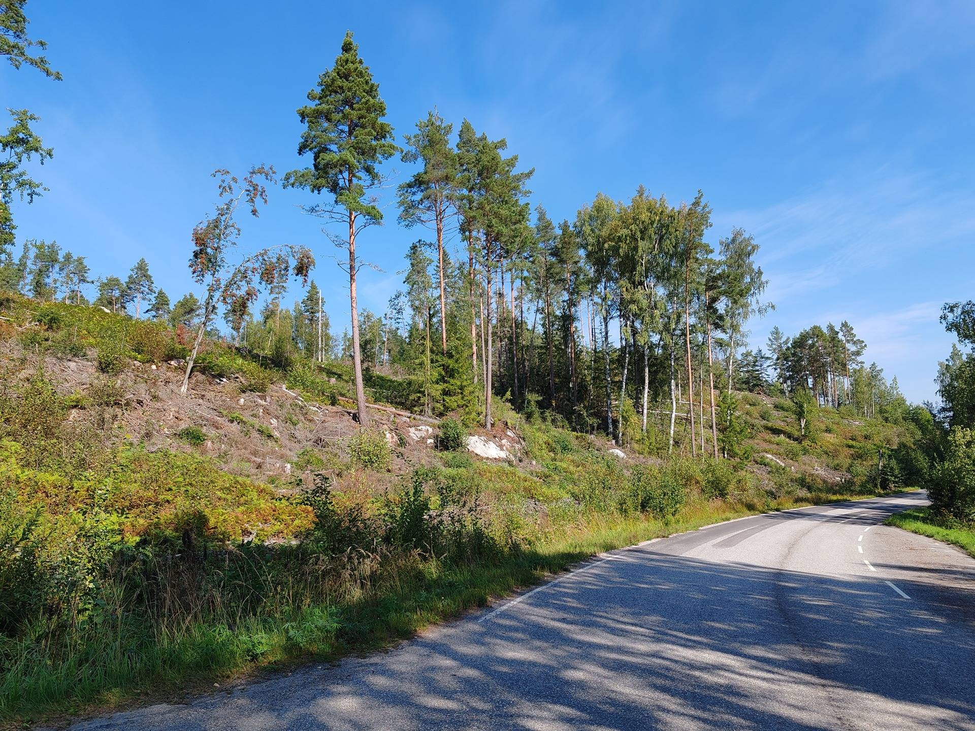 Metsätila Bjökboda Skog 8:3, Salo, Paatelmaa 29