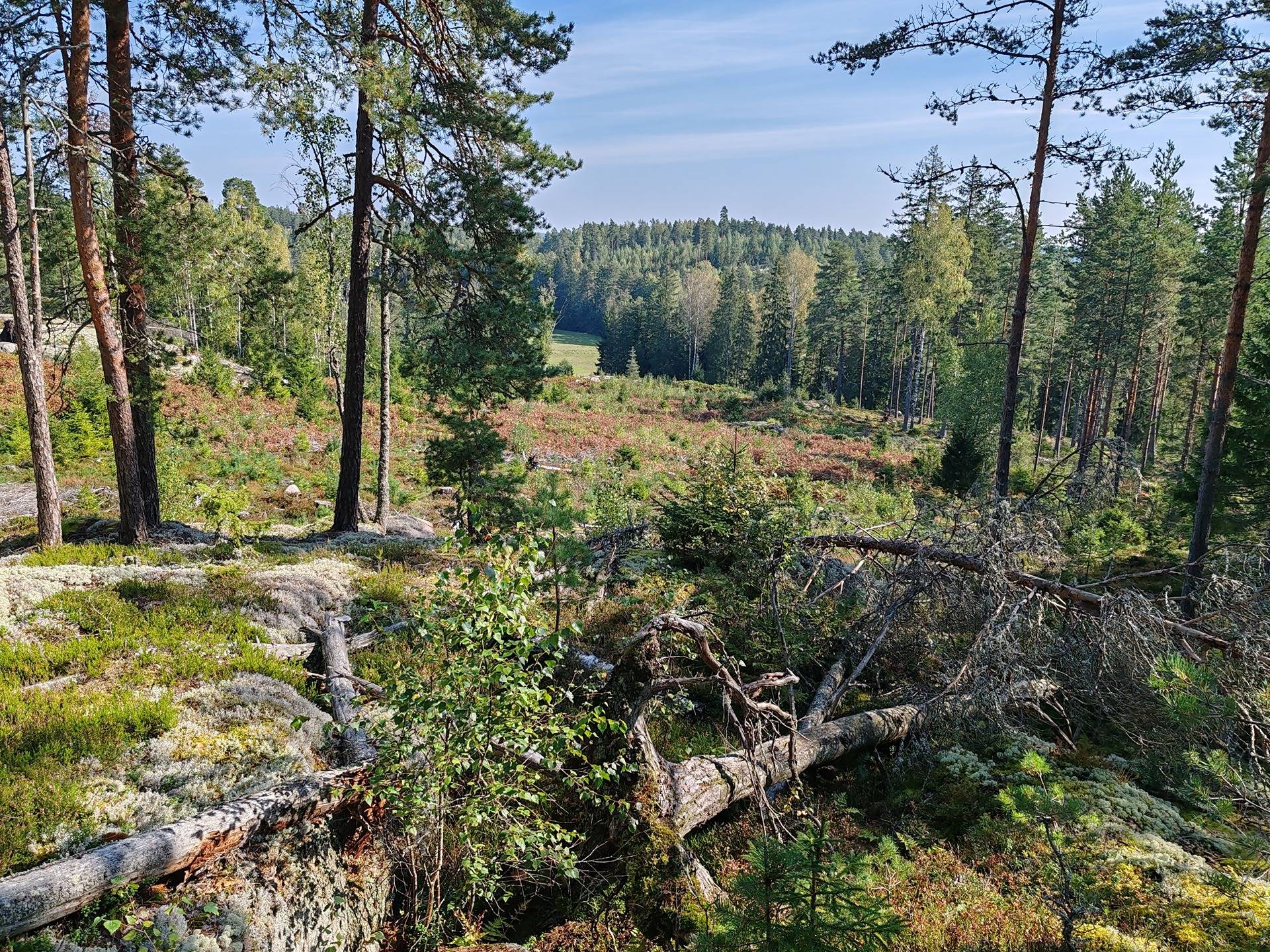 Metsätila Bjökboda Skog 8:3, Salo, Paatelmaa 32