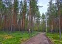 Kauhava metsäpalstakohteet 8,05 ha 14