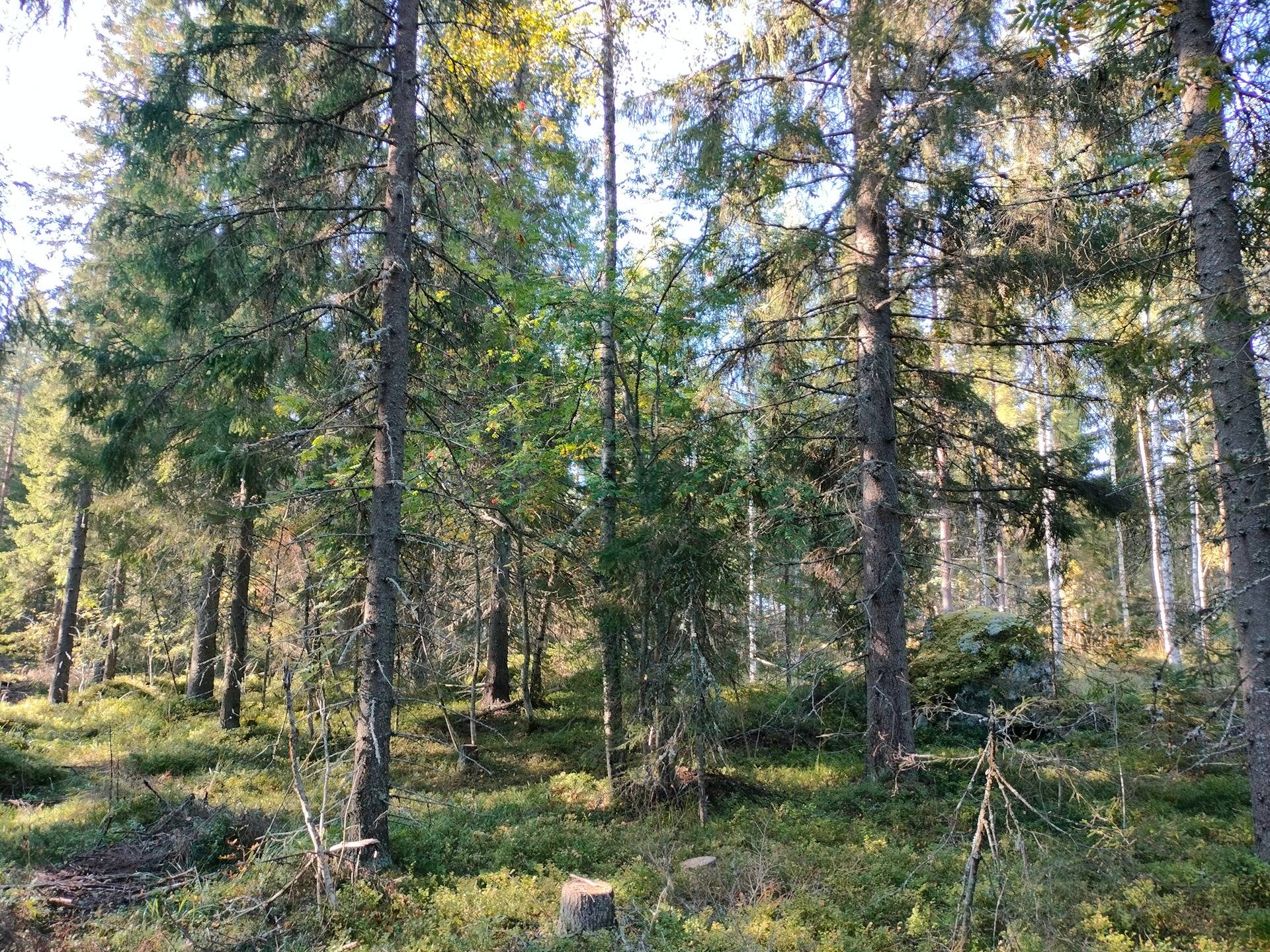 LÄHTEELÄ 167-414-13-18 Oskolansalossa 7