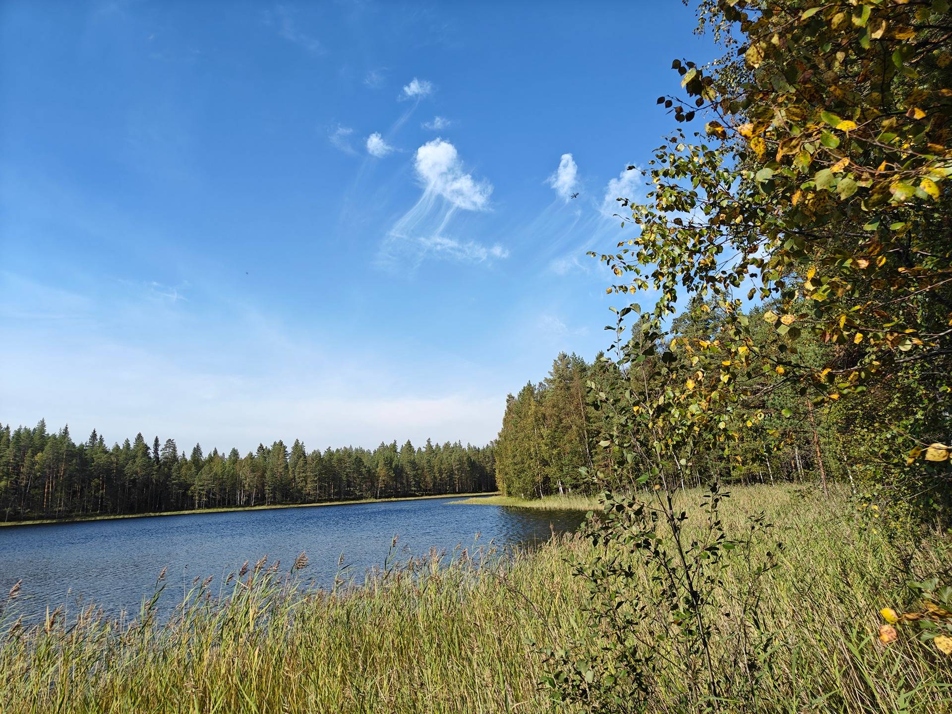 Alavus, MÄKILAHTI 10-403-6-19 määräala 9,2 ha.  17