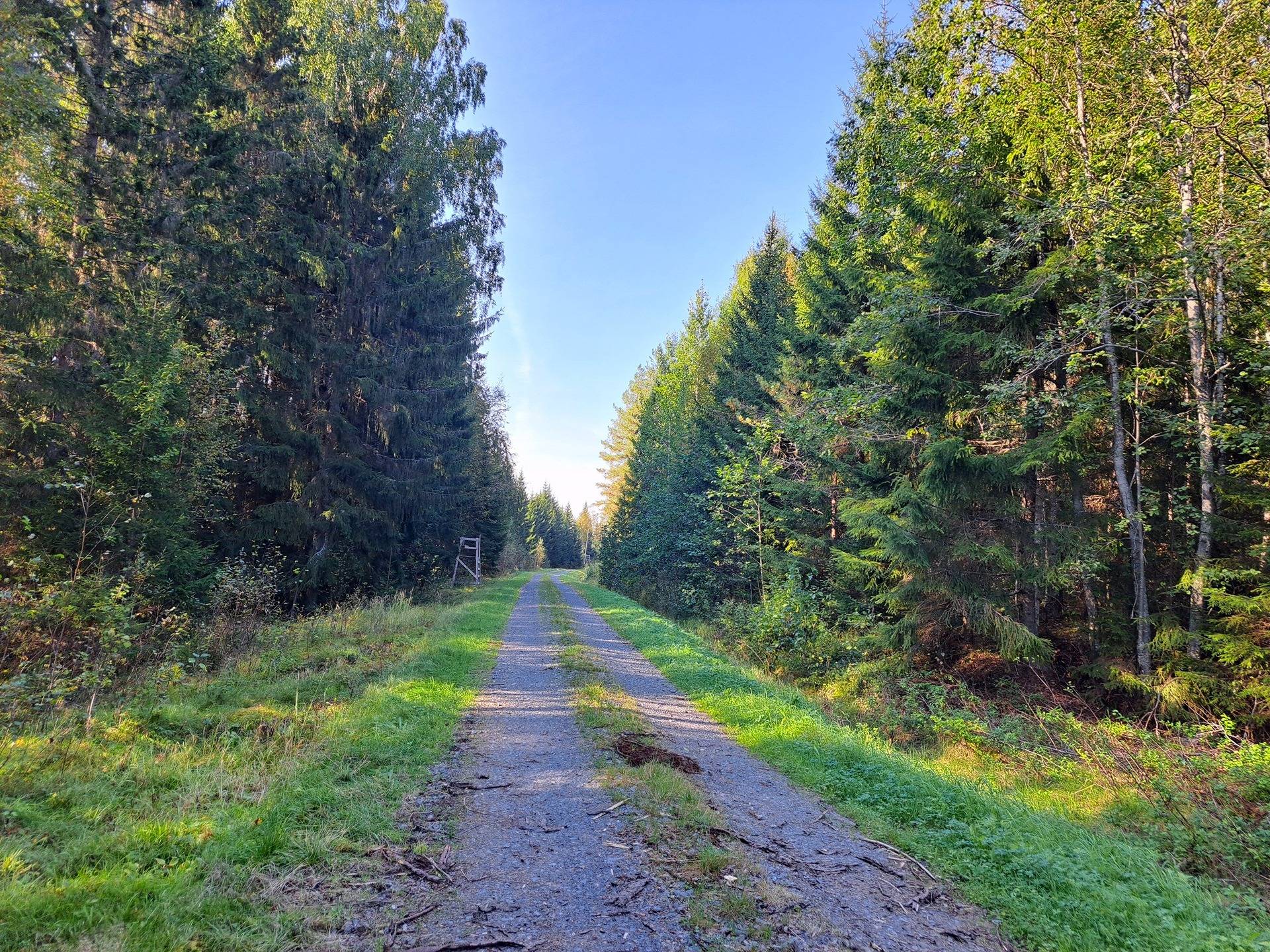 Pedersöre Särs PYYMAA 4:1 metsätila 5,79 ha 2