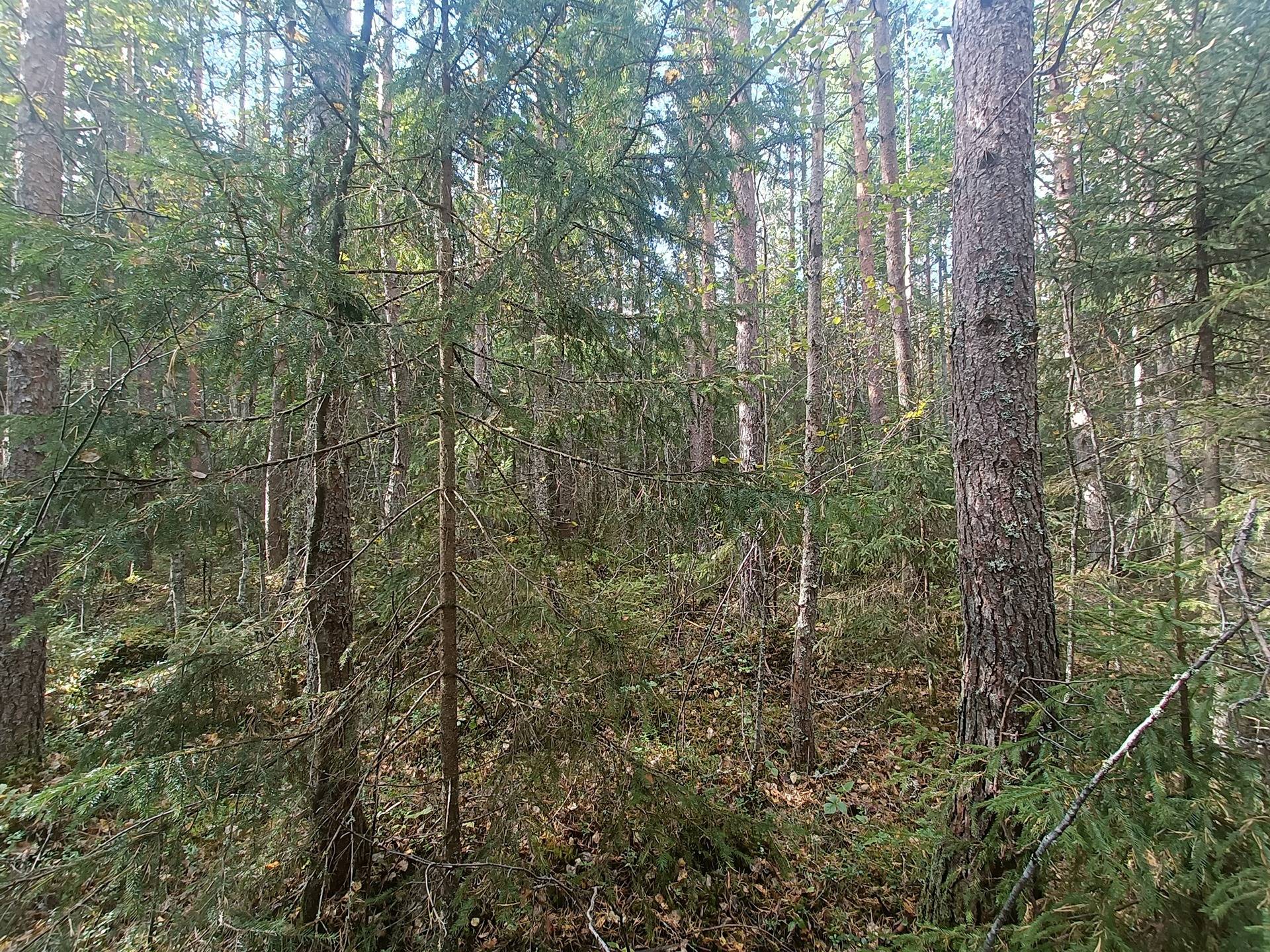 Haaronen 8:27, Lappfjärd/Lapväärtti 4