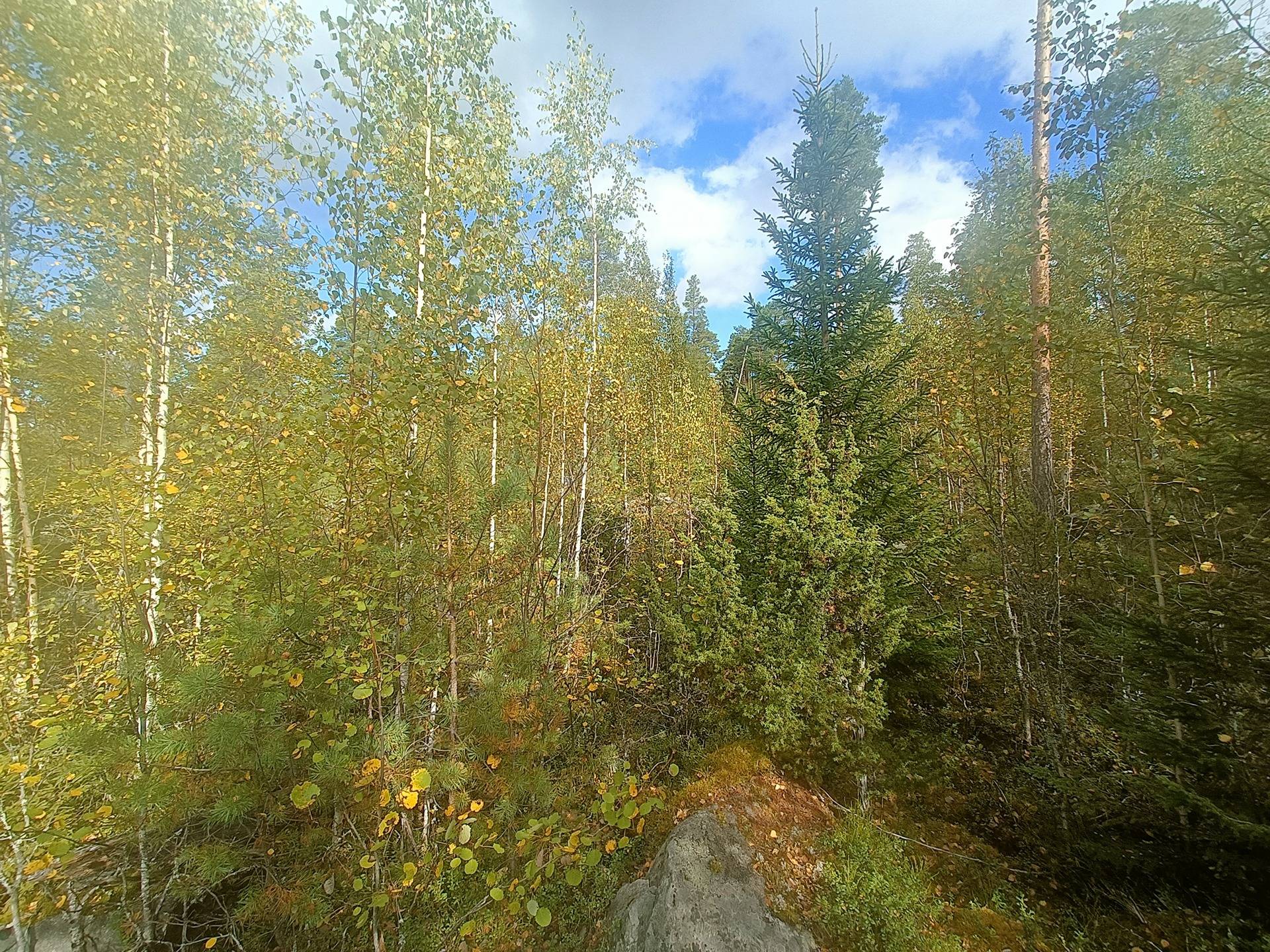 Haaronen 8:27, Lappfjärd/Lapväärtti 13