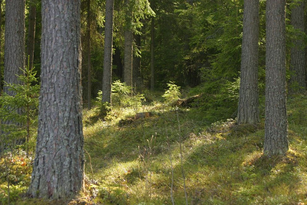 Tehdään yhdessä hyvät tilakaupat