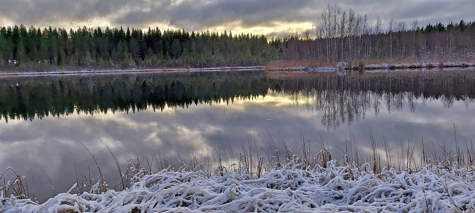 Etelä-Savon myytävät metsätilat