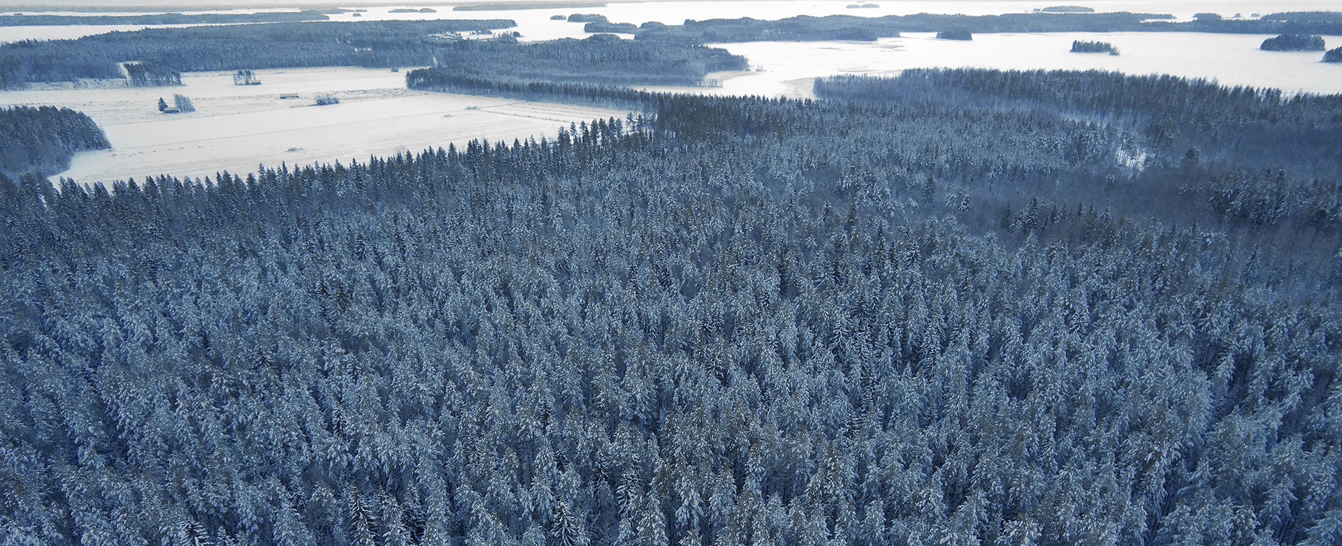 Kainuun myytävät metsätilat