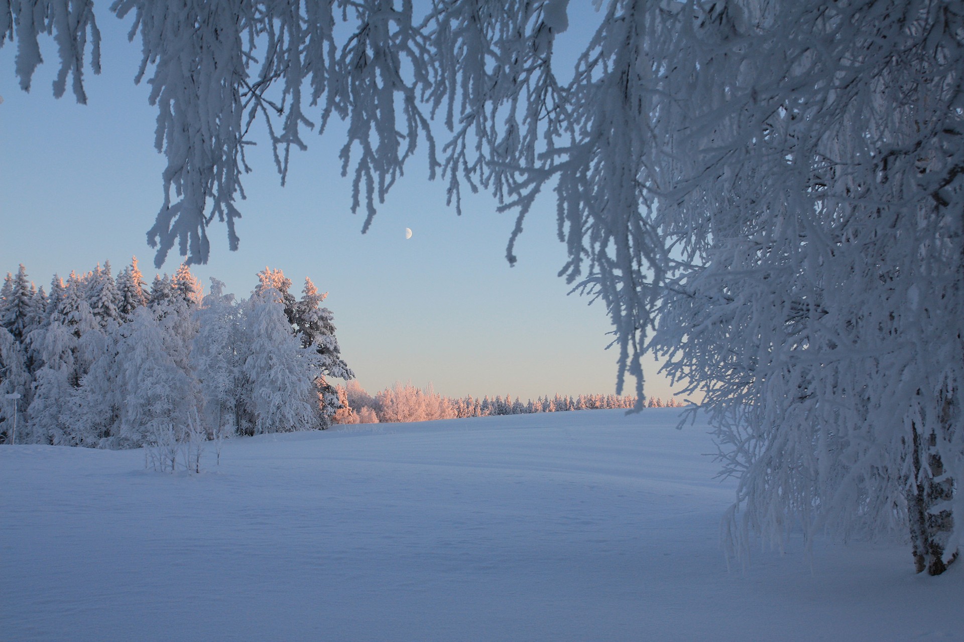 Keski-Pohjanmaan myytävät metsätilat