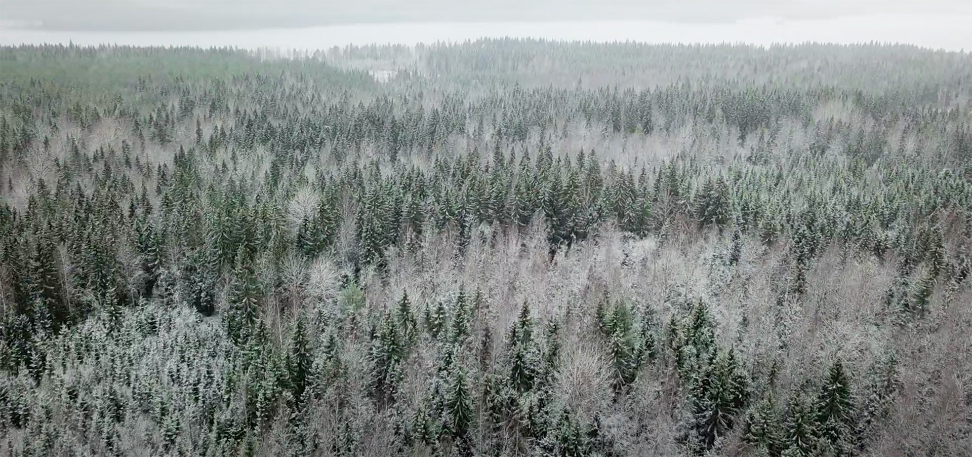 Keski-Suomen myytävät metsätilat