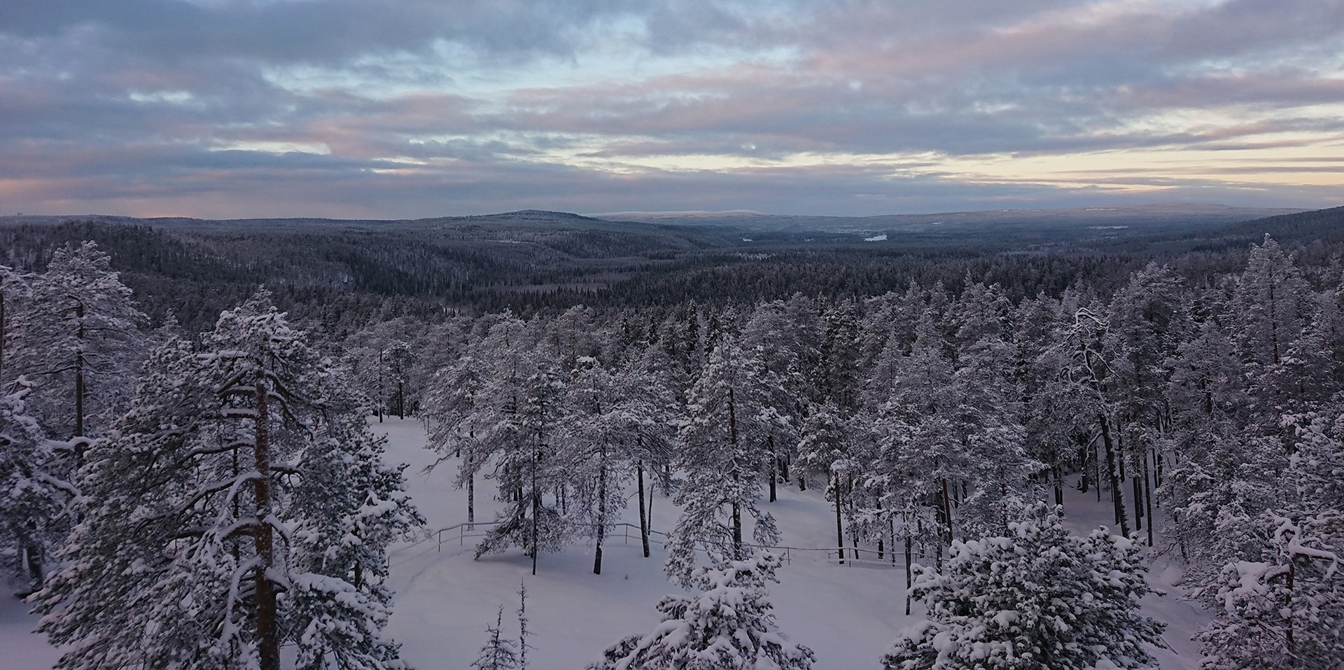 Lapin myytävät metsätilat