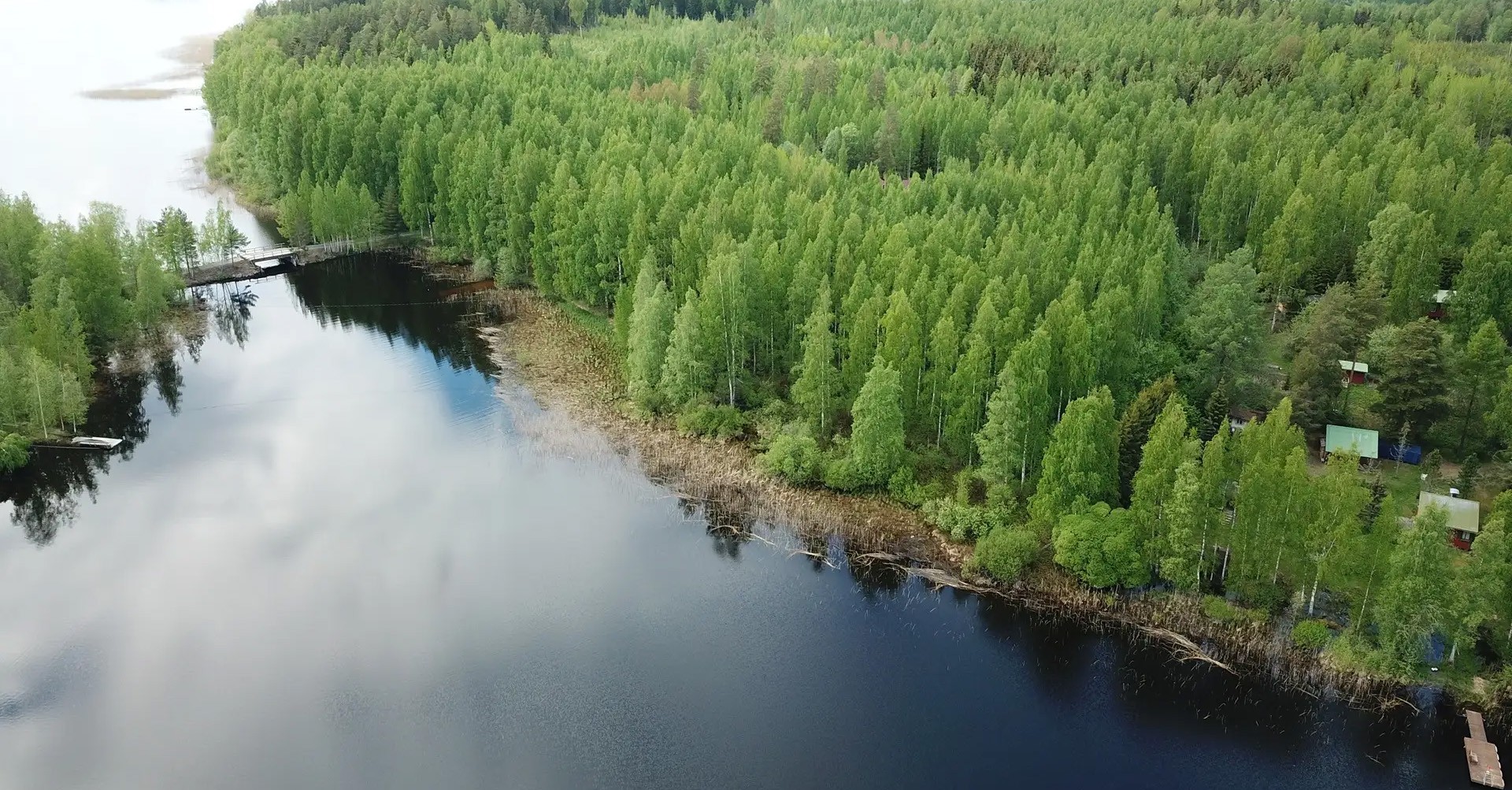 Pirkanmaan myytävät metsätilat