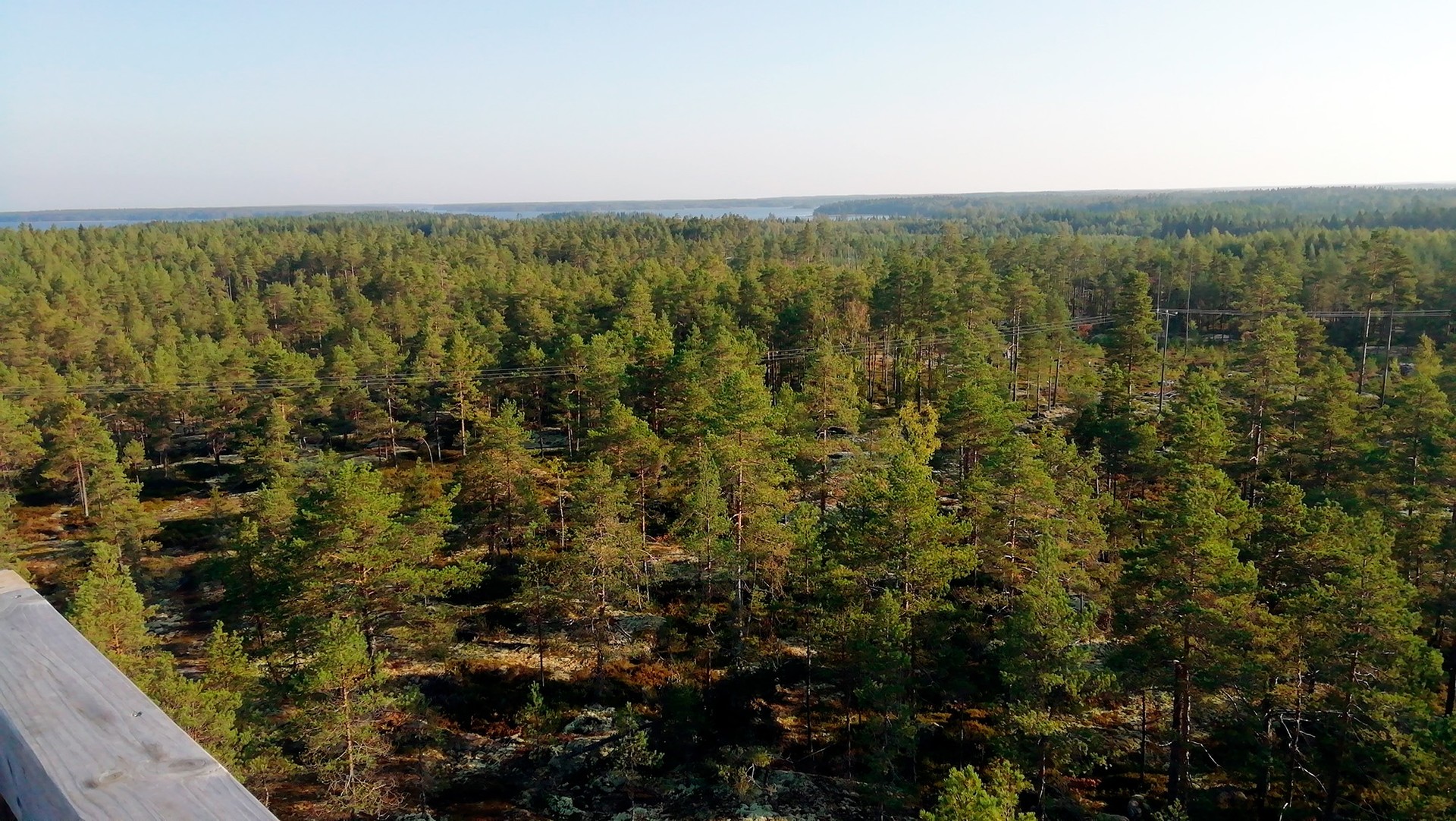 Skogsfastigheter till salu i Österbotten