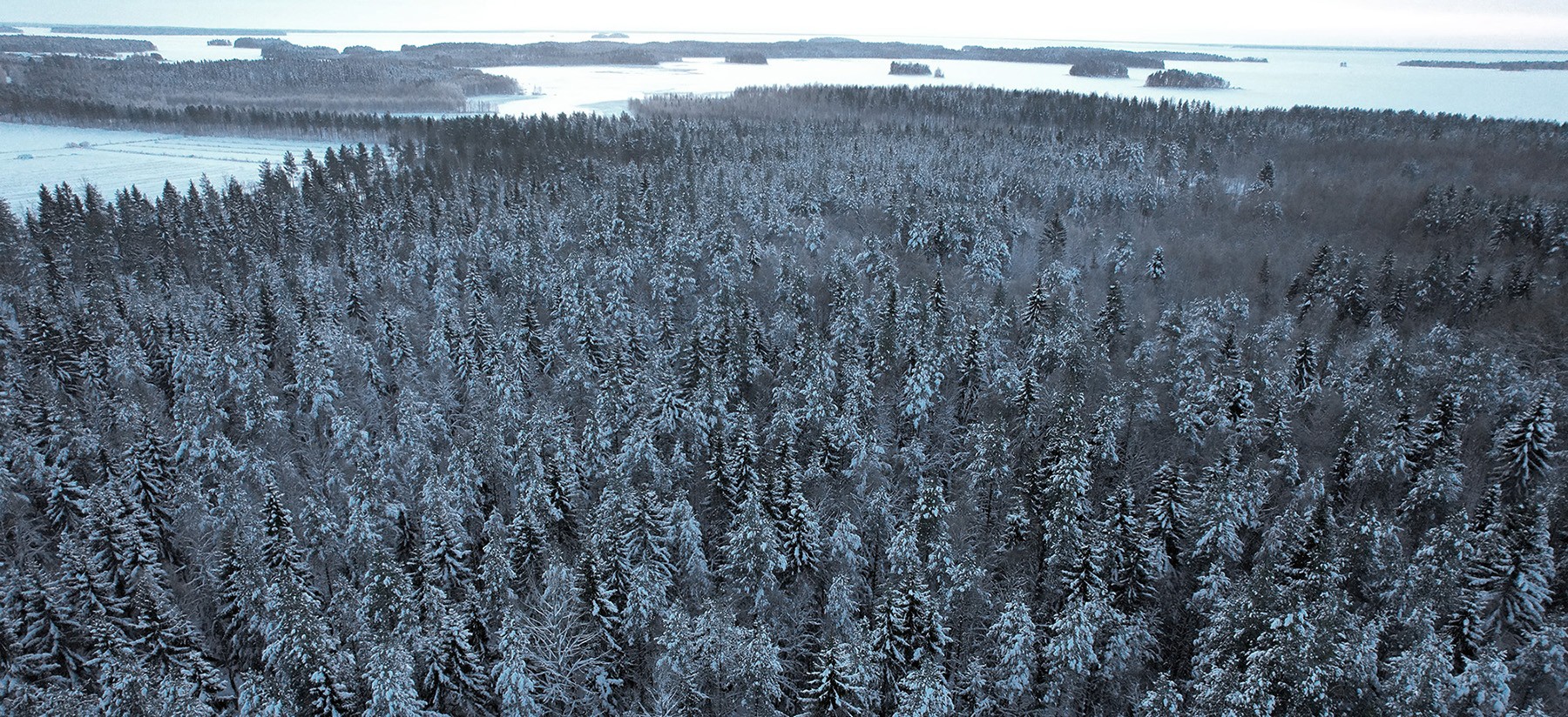 Etelä-Karjalan myytävät metsätilat