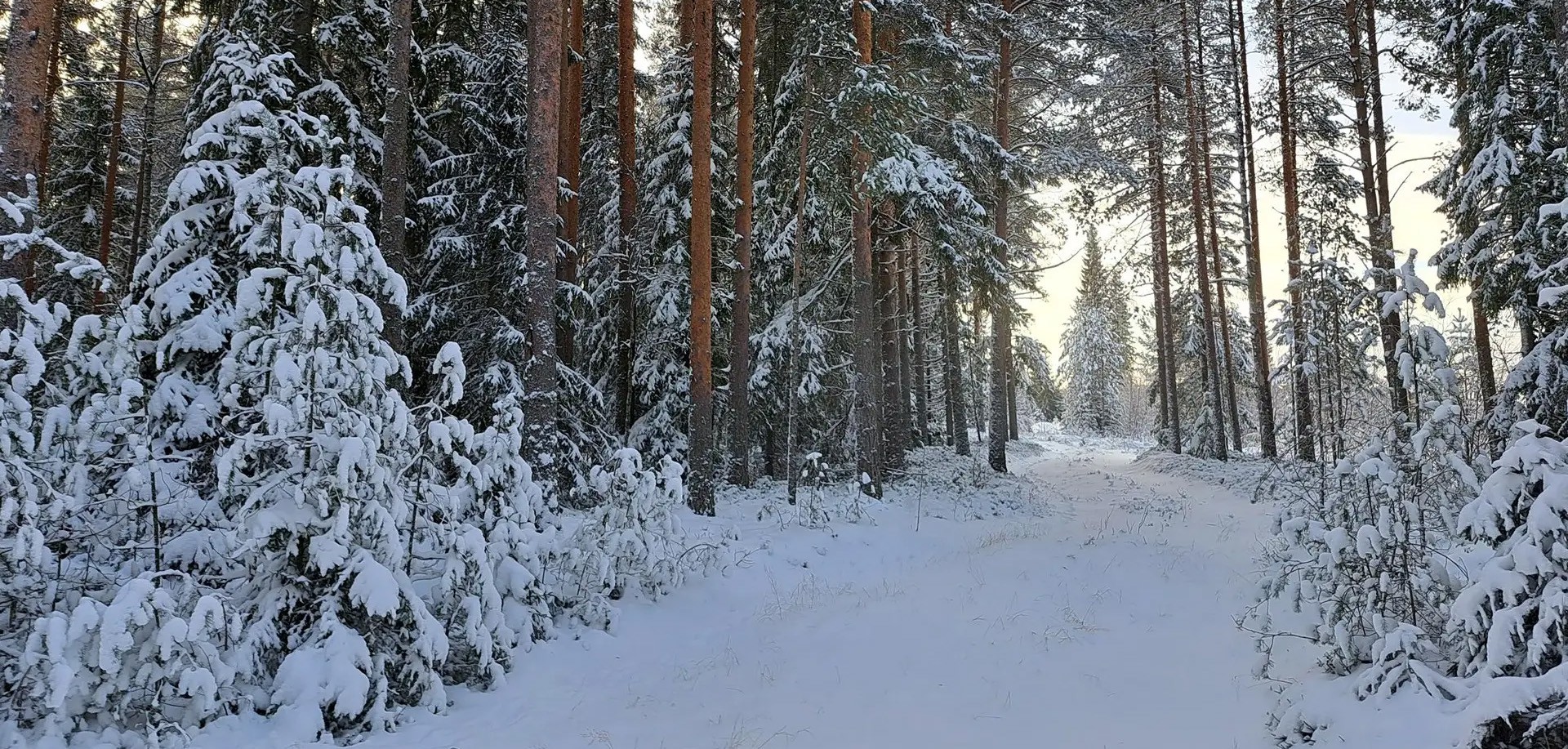 Kymenlaakson myytävät metsätilat