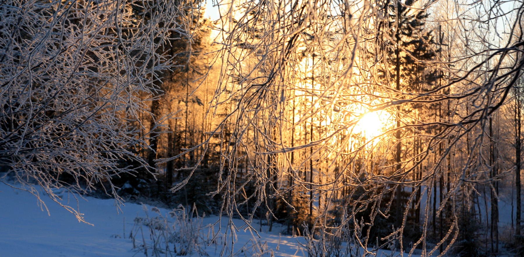 Satakunnan myytävät metsätilat