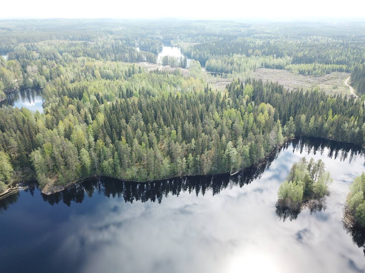 Omslagsbild för objektet Orivesi, Enojärvi, Haukkaniemi, loma-asunnon tontti