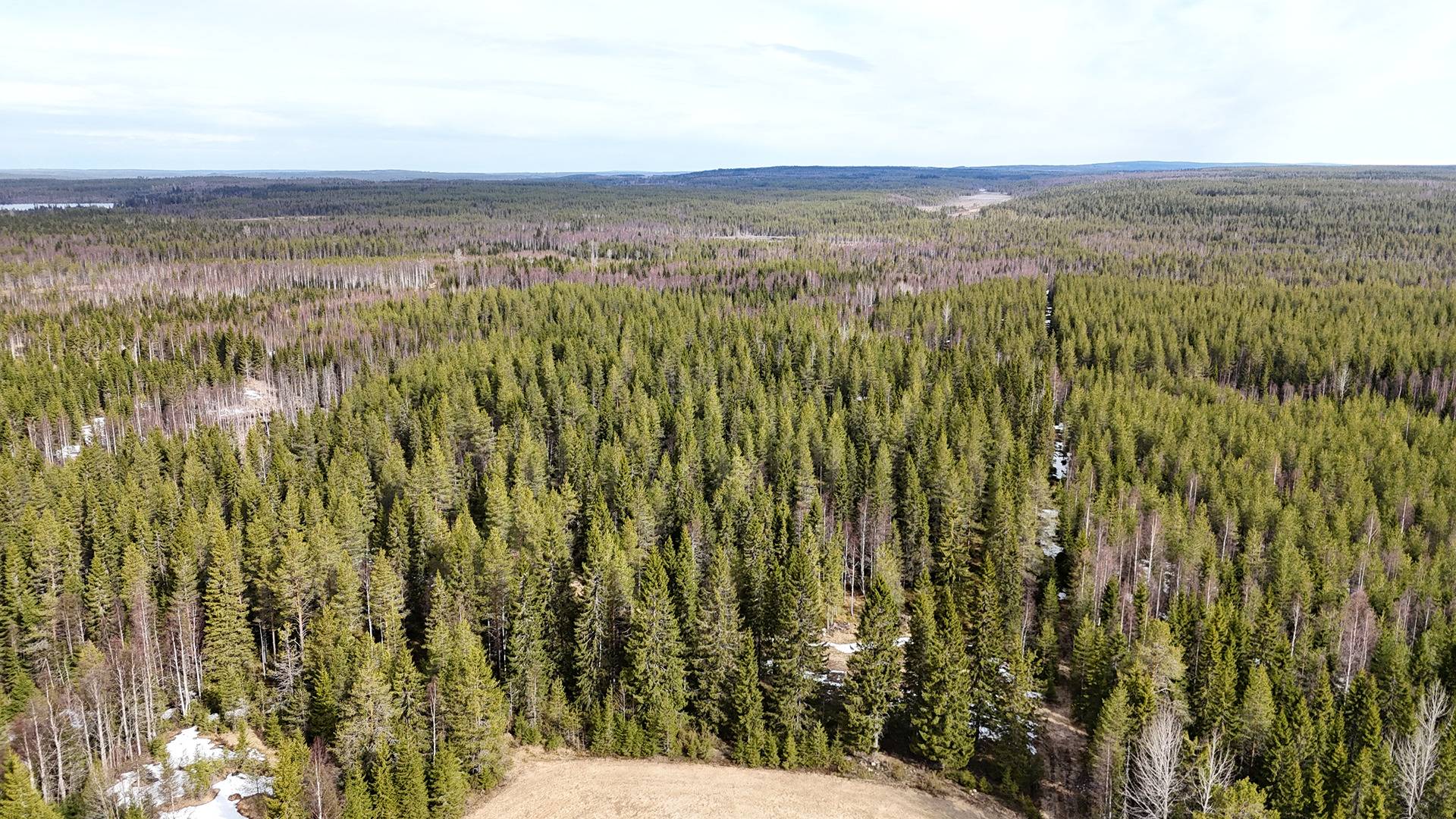 TIITTOLA 620-412-11-22(61,91 ha),KYTÖPURONEN 620-412-62-1(43,43 ha), PIENIPAHKALA 620-412-21-18(42,76 ha),KIVIKKO 620-412-11-28(22,53 ha),KOVALA 620-412-21-13(16,315 ha), HOIKKASUO 620-405-15-8(9,32 ha) Puolangalla 1