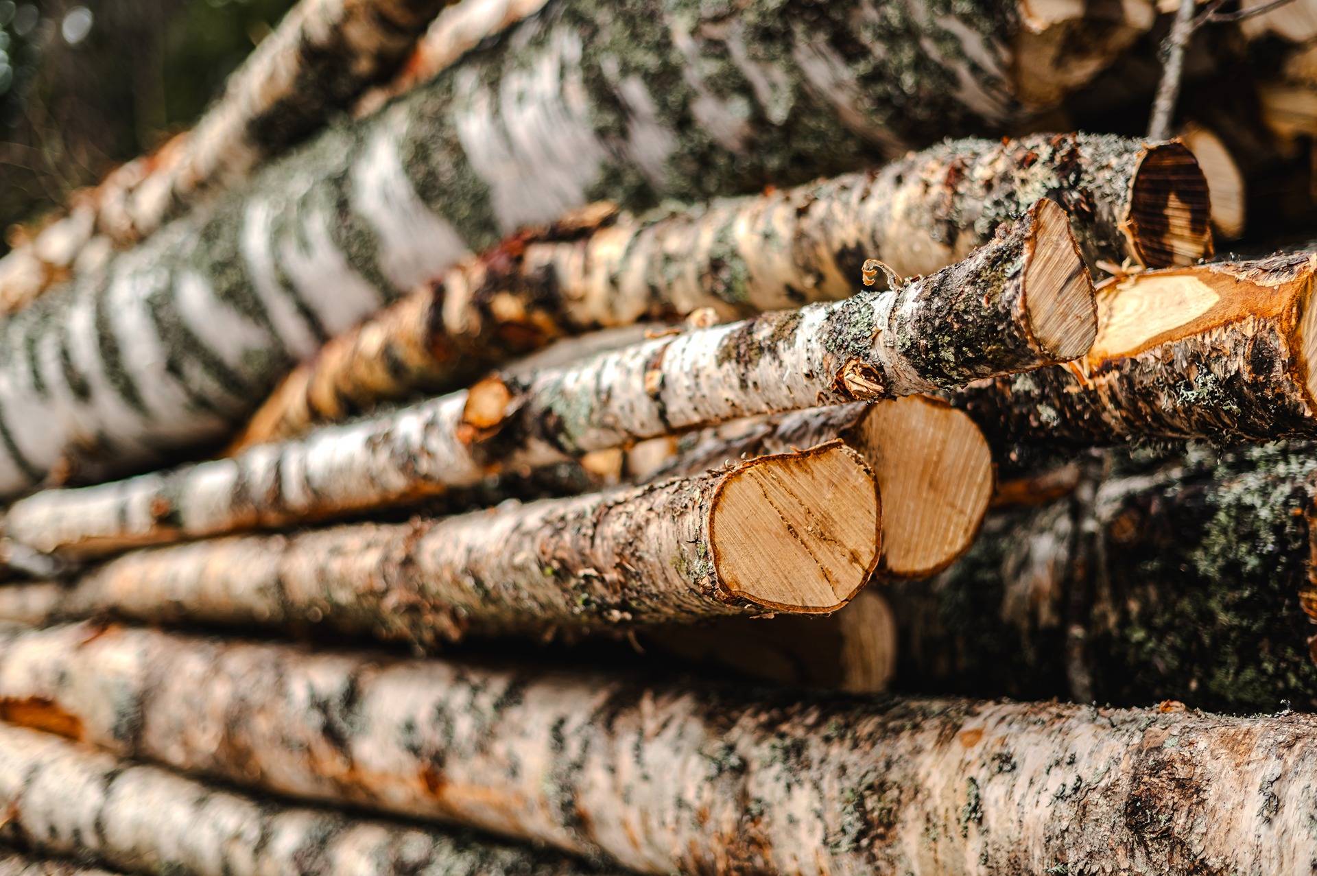 Granlund 5:92, Nedervetil/Alaveteli 1