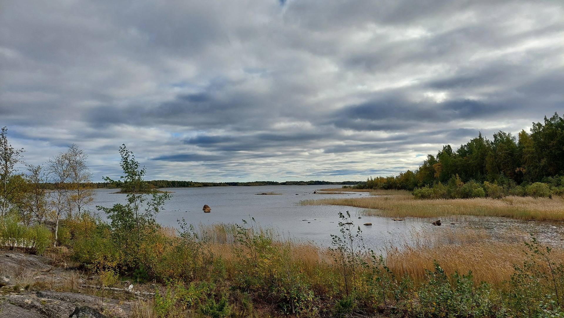 Kallioranta 139-402-12-124 määräala - tontti 1 1