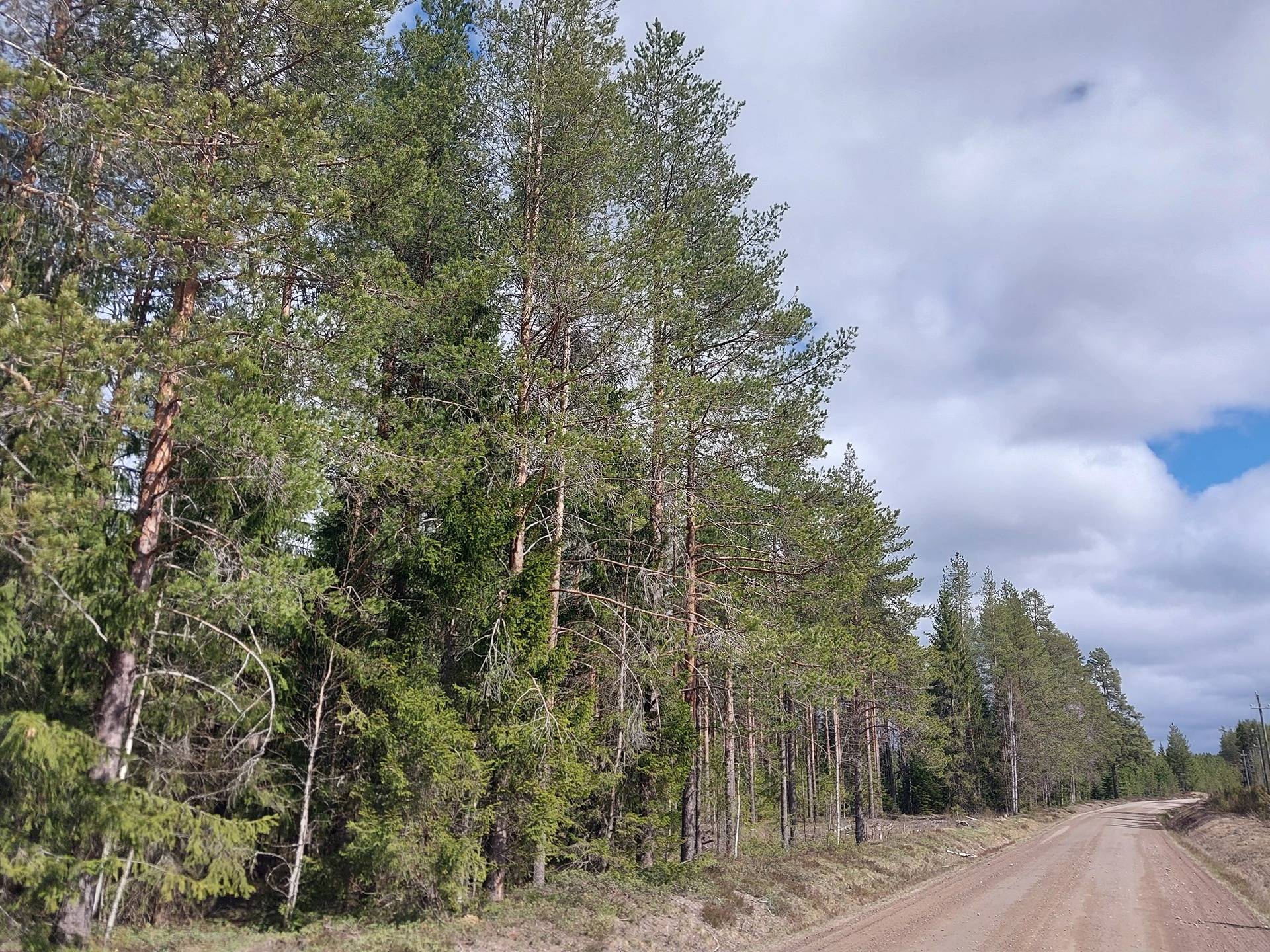 Omslagsbild för objektet Leinola 925-410-2-23