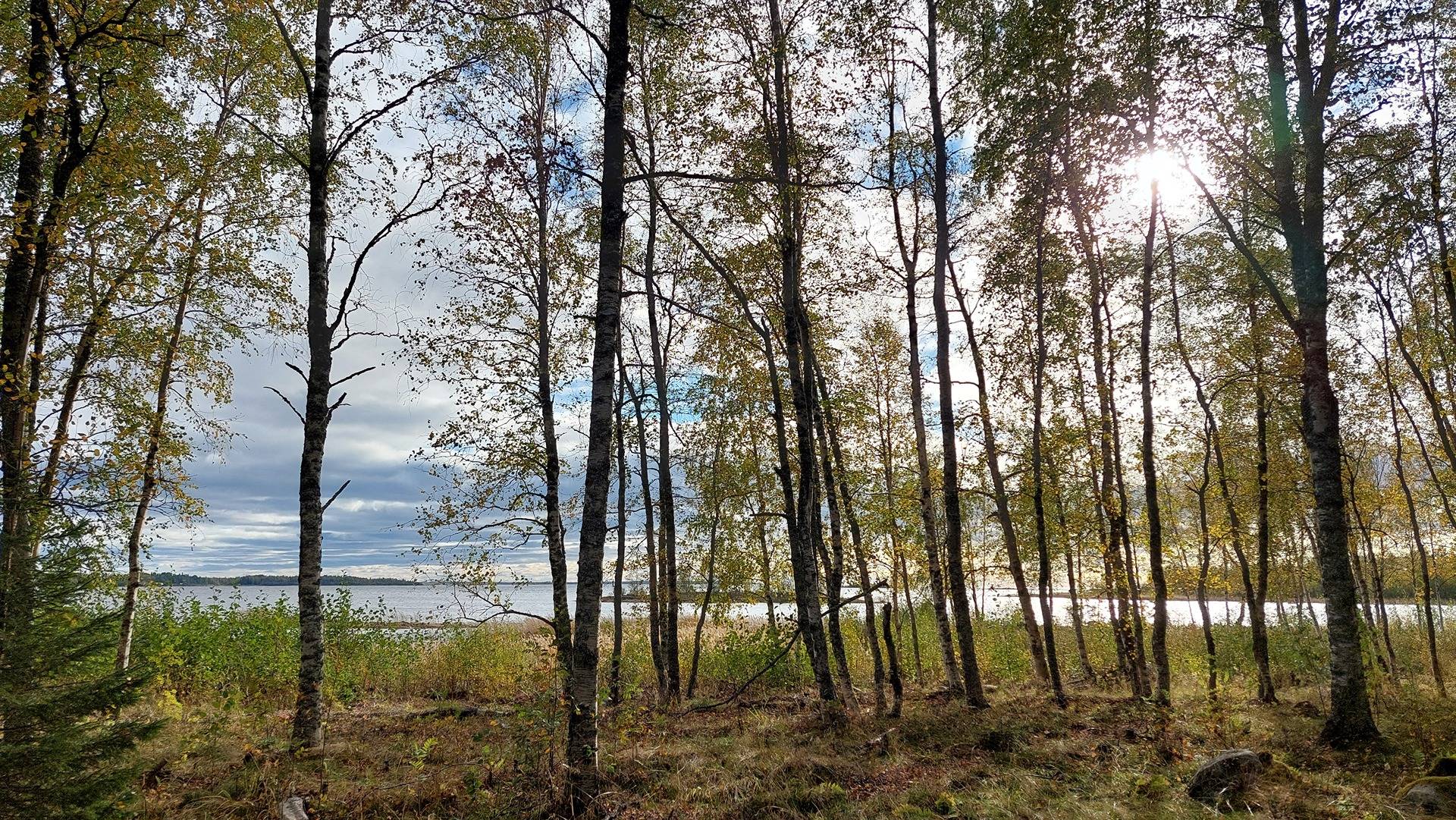 Kallioranta 139-402-12-124 määräala - tontti 2 1