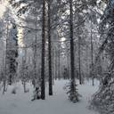 Kuusamon yhteismetsä osuus 0,021800 1