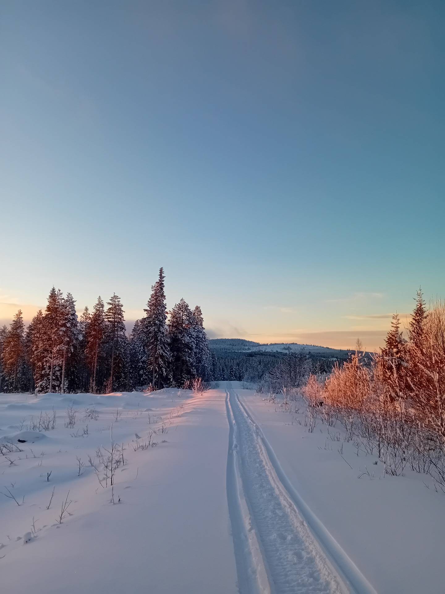 Kuusamon yhteismetsä osuus 0,021800 1