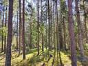 Harjula 935-422-8-92 (määräala), Koivula 935-422-8-99 (määräala), Kaivanto 935-422-8-44 (kiinteistö), Kaivanto I 935-422-8-47 (kiinteistö) ja Vajaavuori 935-422-8-91 (määräala) 1