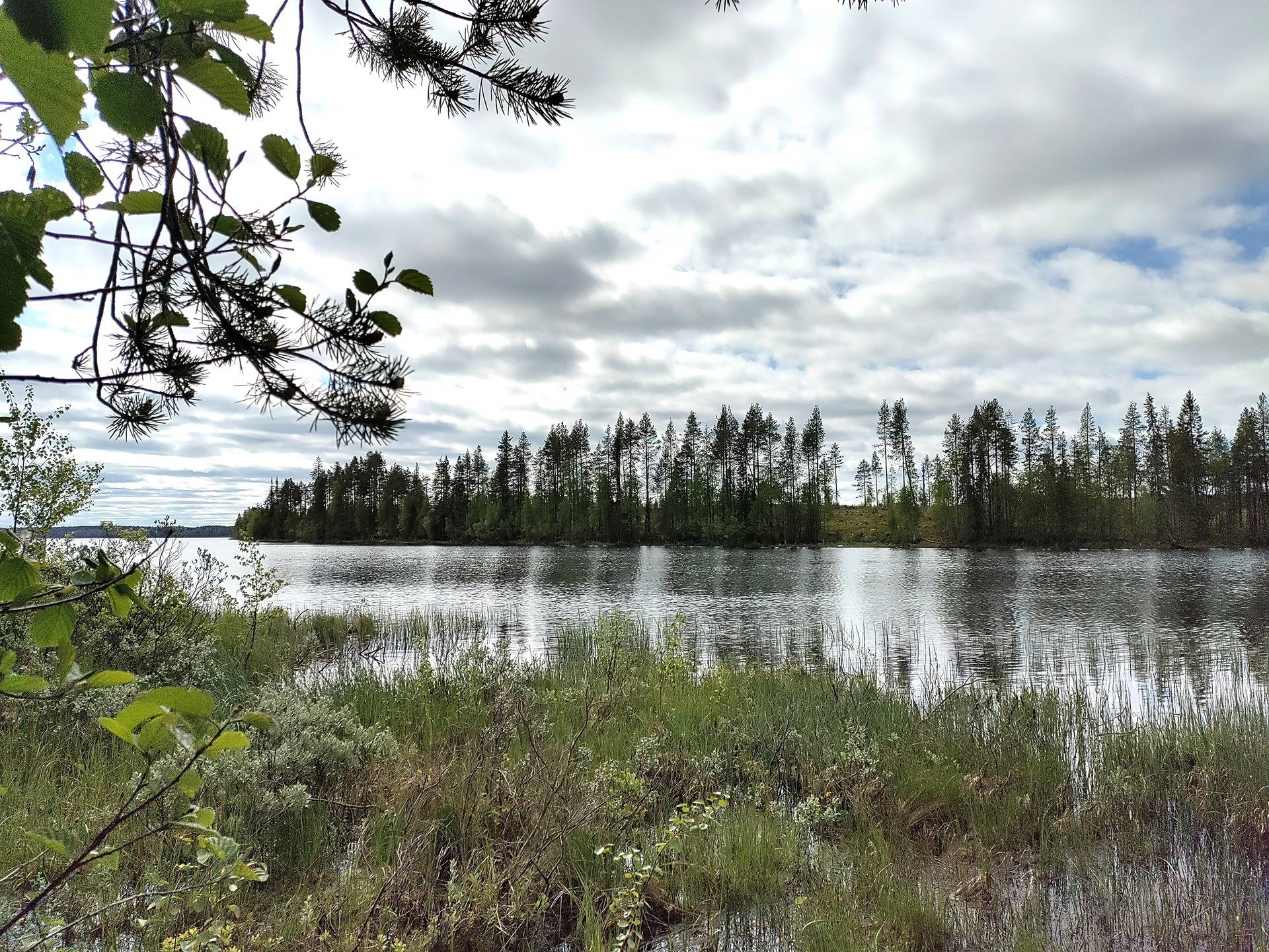 Velikulta 305-415-53-48 1