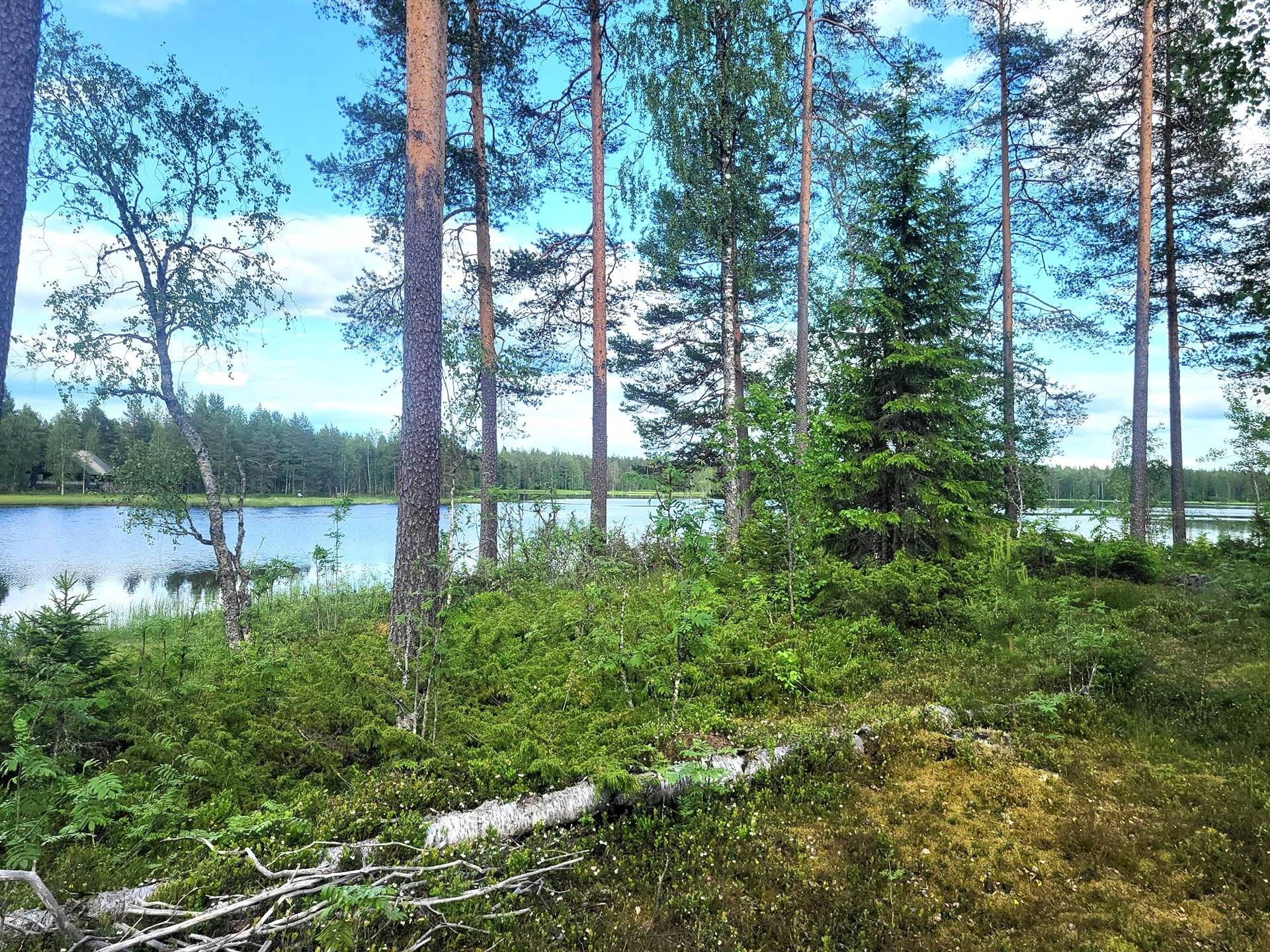 Lomarakennuspaikat Hirvijärvi 1