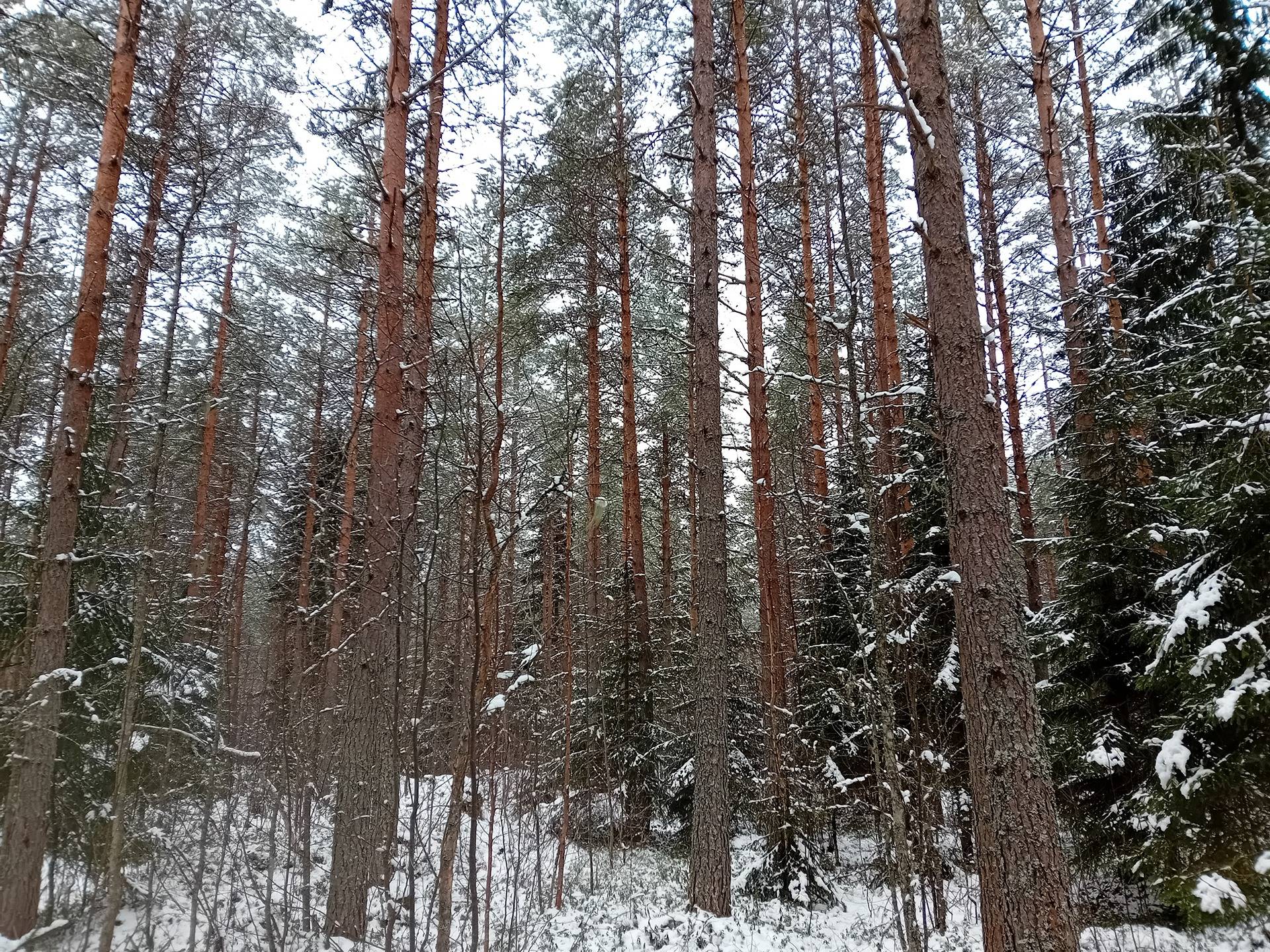 Kurikka Alkula 301-408-2-309 1