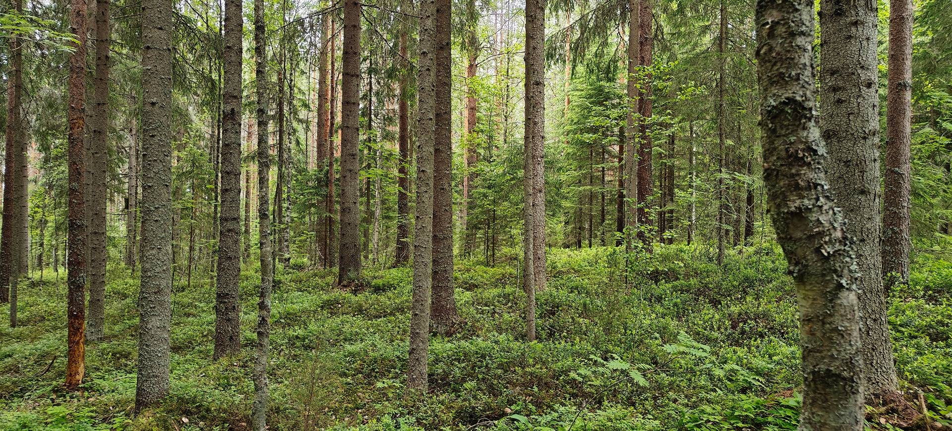 Ähtäri, SUOSALO II 989-407-8-59 1