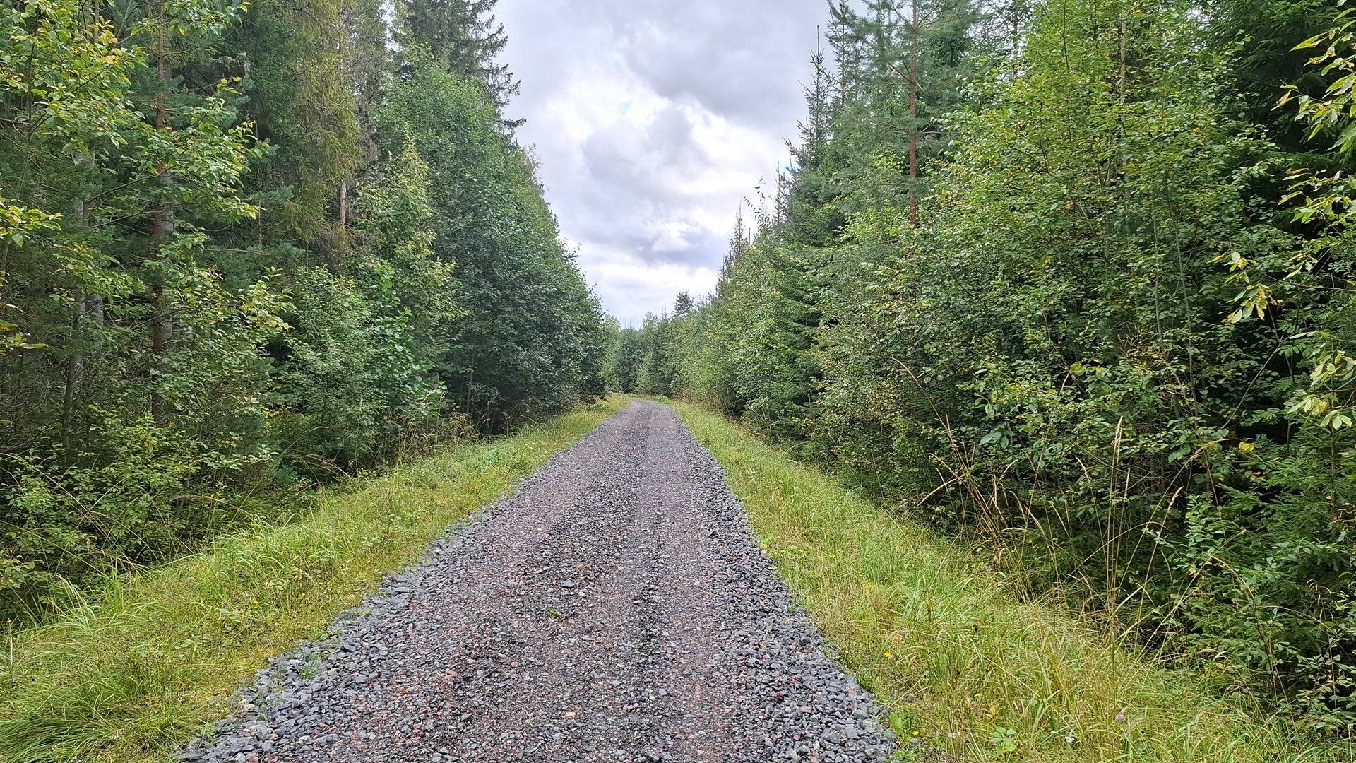 Kantatila KOIVUMÄKI 7:4, Virttaa / Loimaa 1