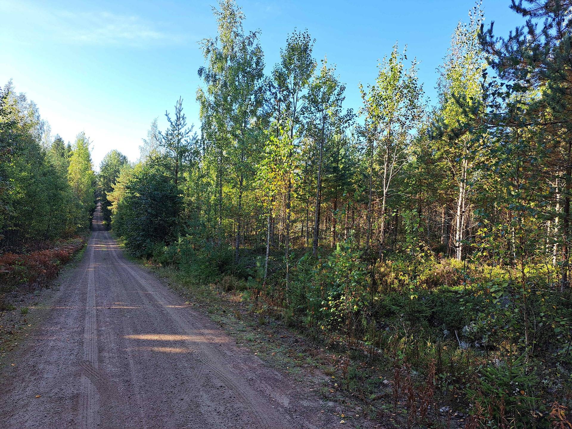 Kuoppakangas 286-422-2-71(määräala) 1