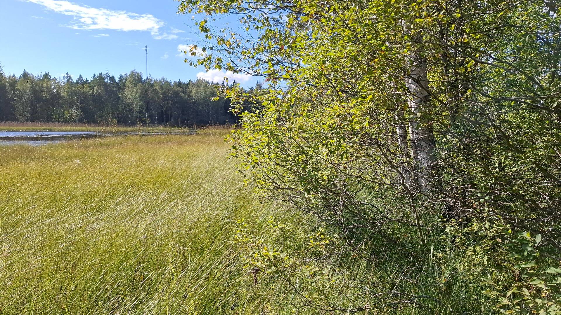 Kantatila UUSI-SEPPÄ 2:188, Luvia / Eurajoki 1