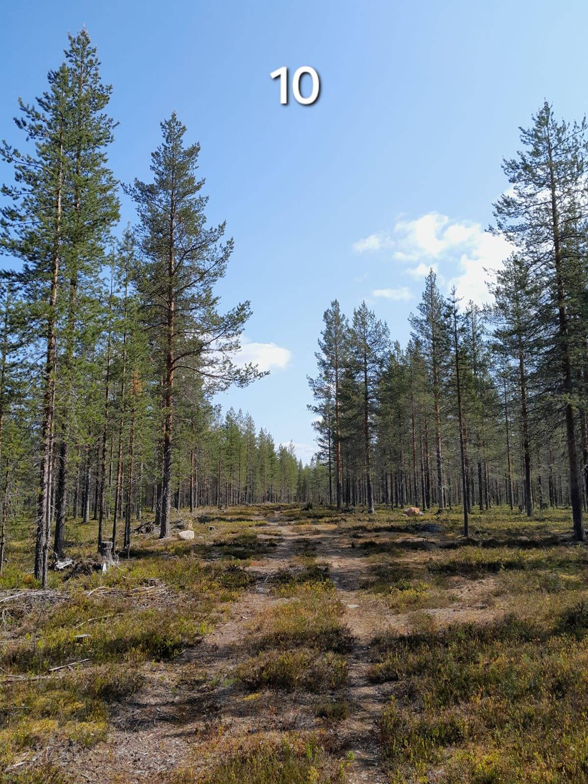 Omslagsbild för objektet Jounila 758-422-16-2