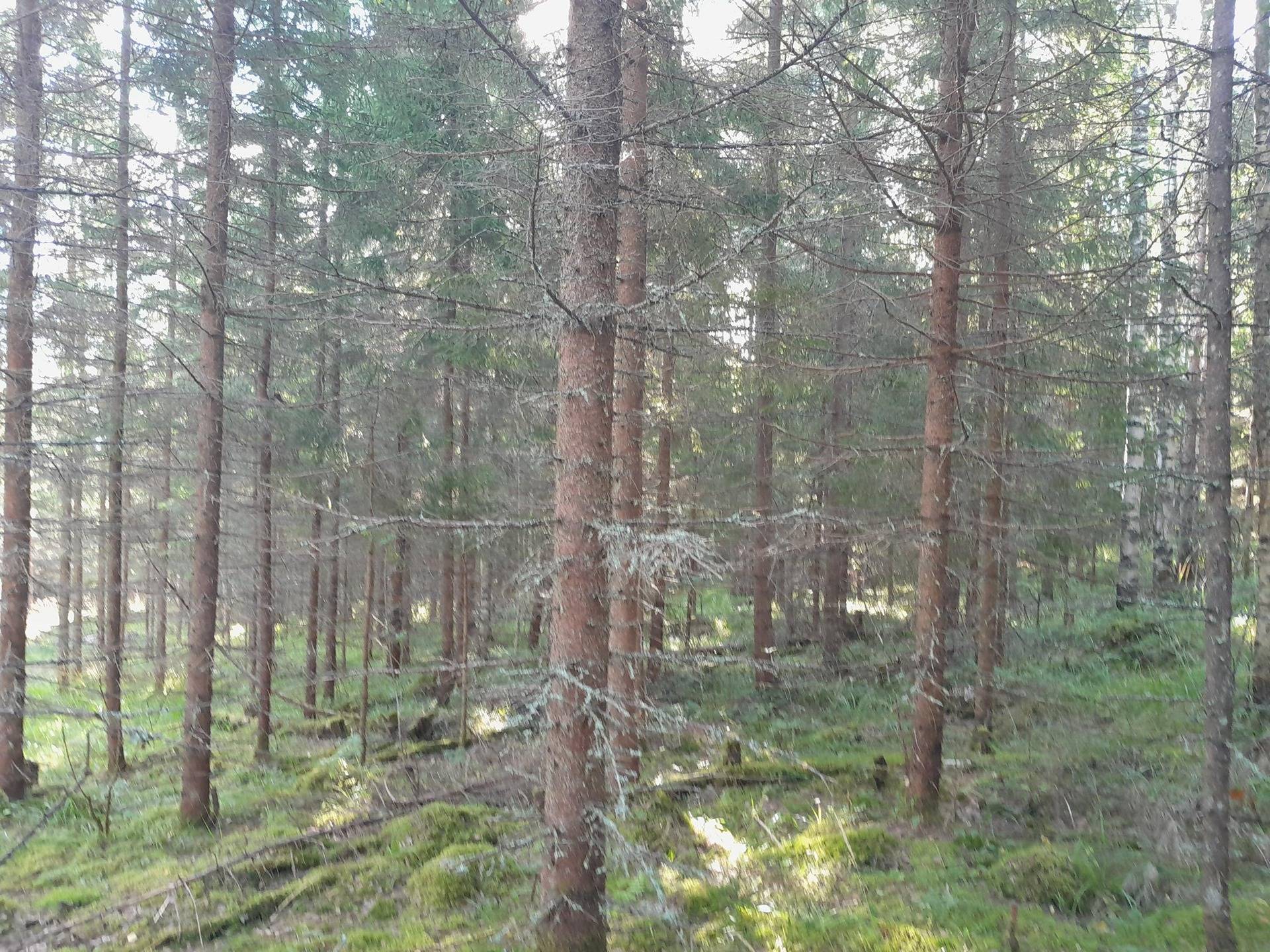 Nokanmäki 182-414-3-20 1