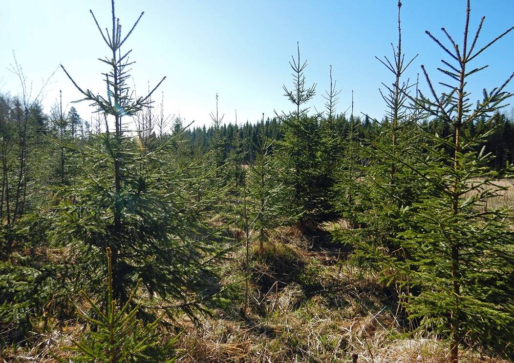 Tila 420-401-4-110 1