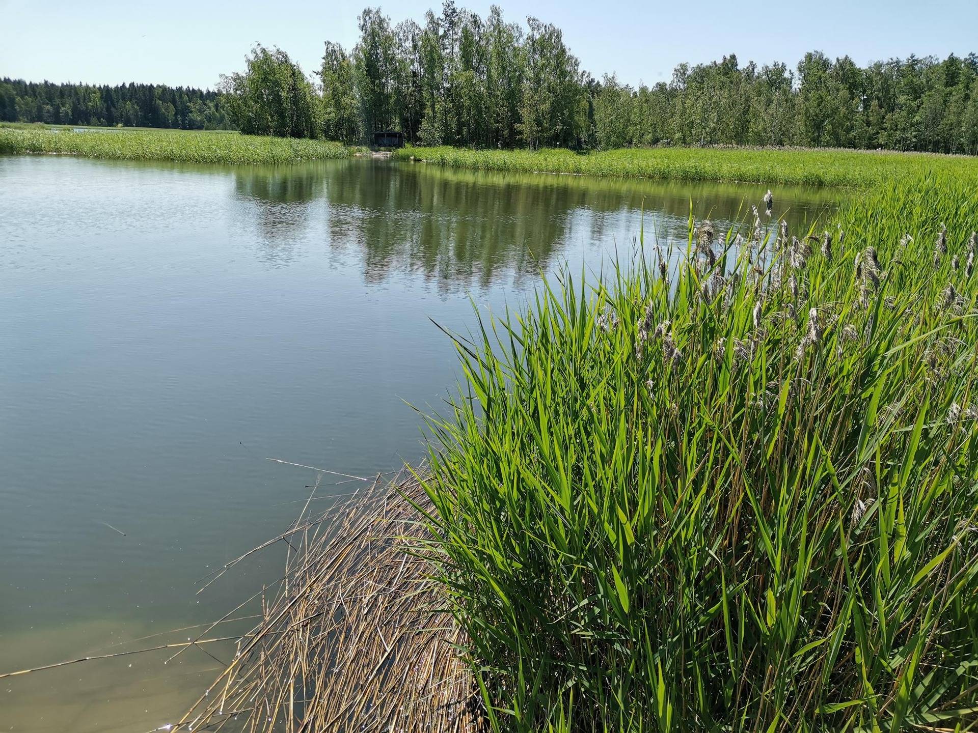 Vapaa-ajan rakennuspaikka, n. 4800 m2, Uusikaupunki, Kittamaa, Plassitie. 1