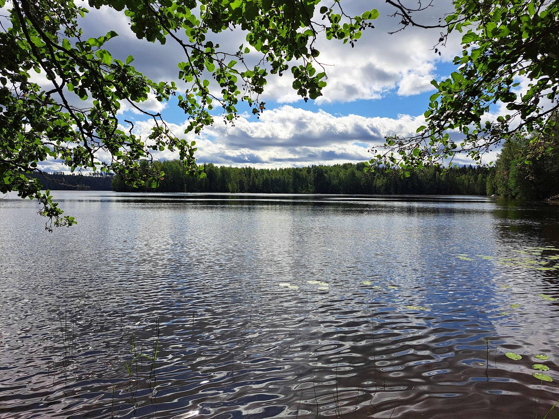 Tuijala 142-422-8-176(määräala) 1